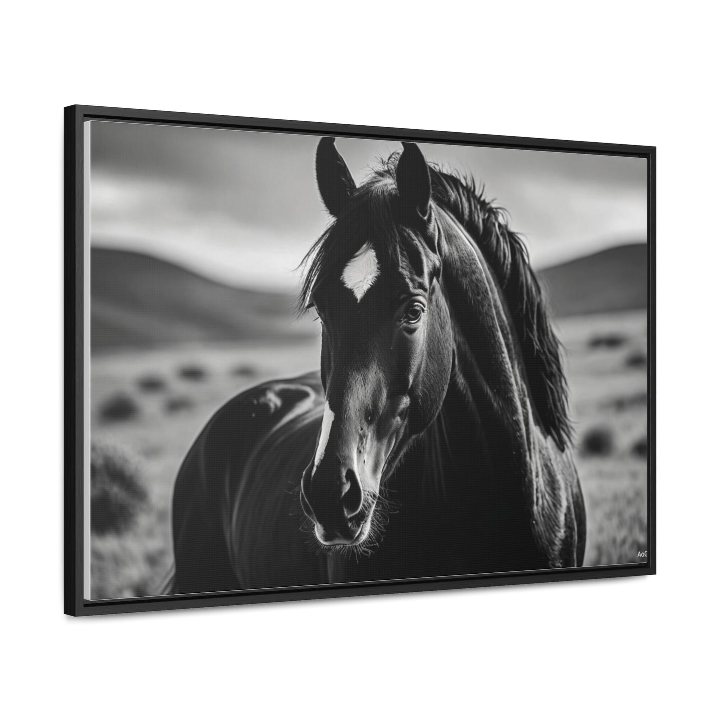 Black Stallion Gallery Canvas Wraps, Horizontal Frame
