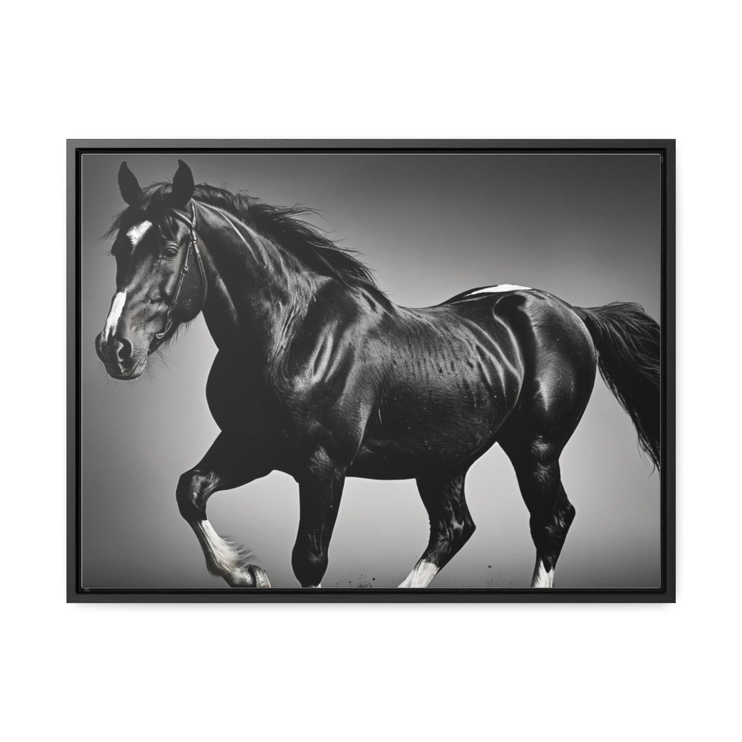 Black Stallion Gallery Canvas Wraps, Horizontal Frame