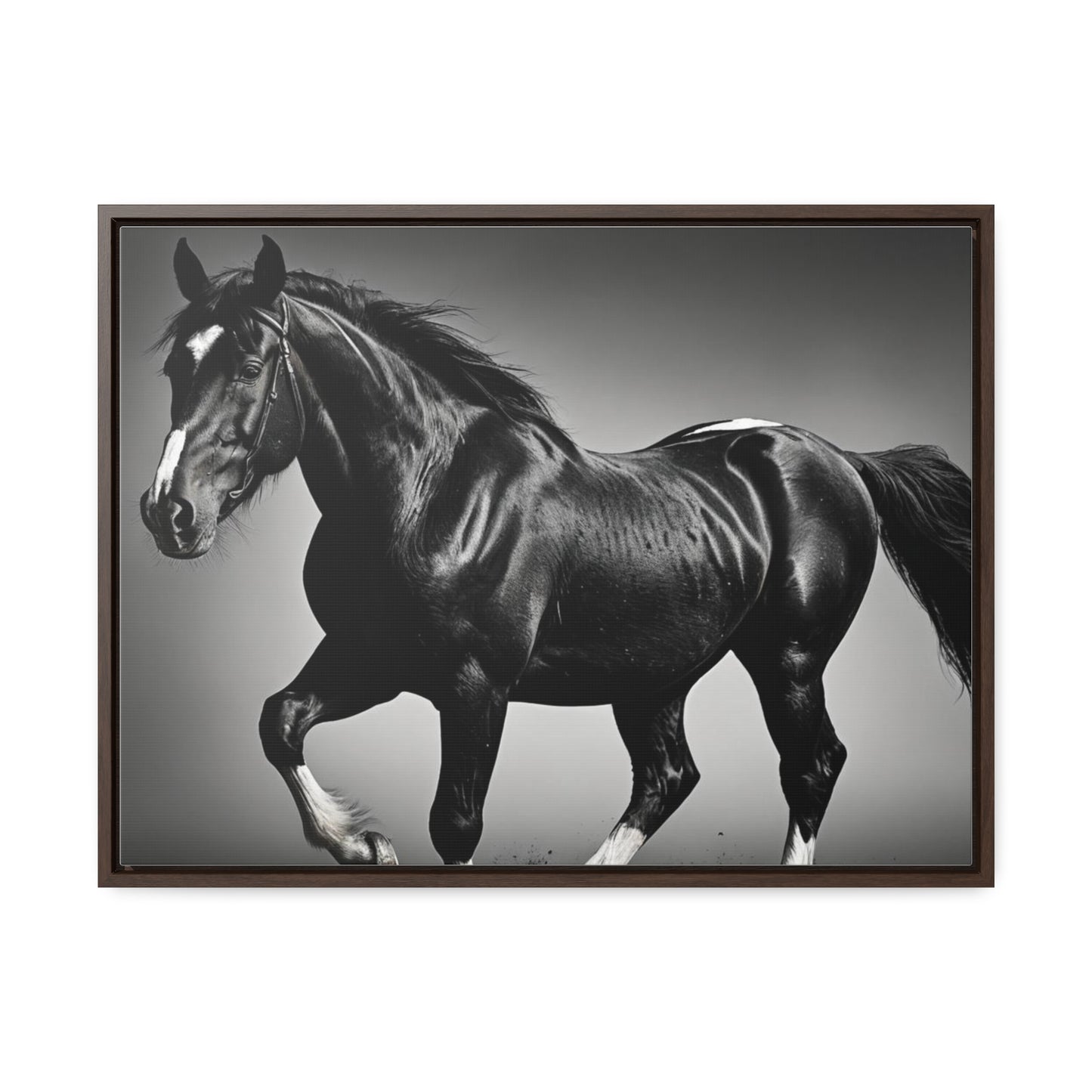 Black Stallion Gallery Canvas Wraps, Horizontal Frame