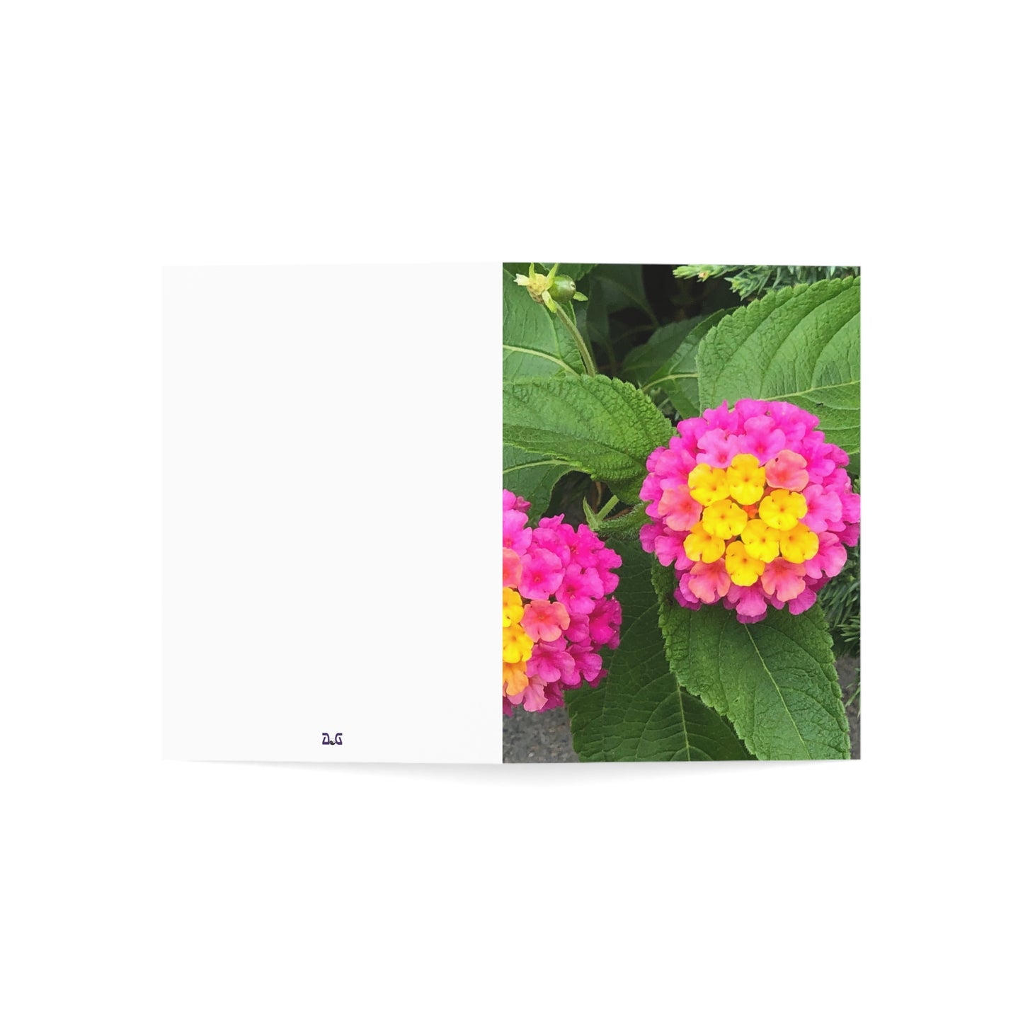 Vertical Spring Bloom Greeting Cards (1, 10, 30, and 50pcs)