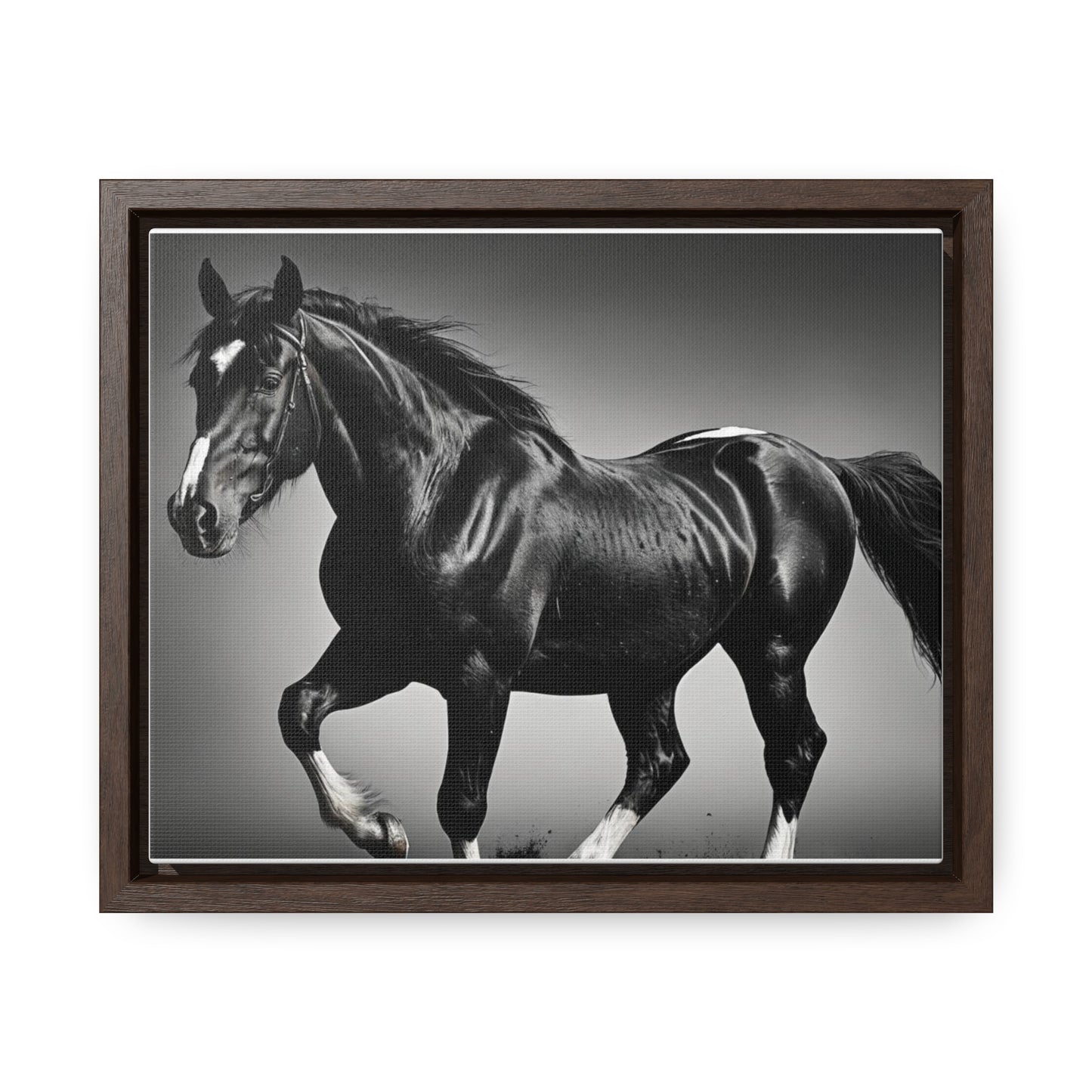 Black Stallion Gallery Canvas Wraps, Horizontal Frame