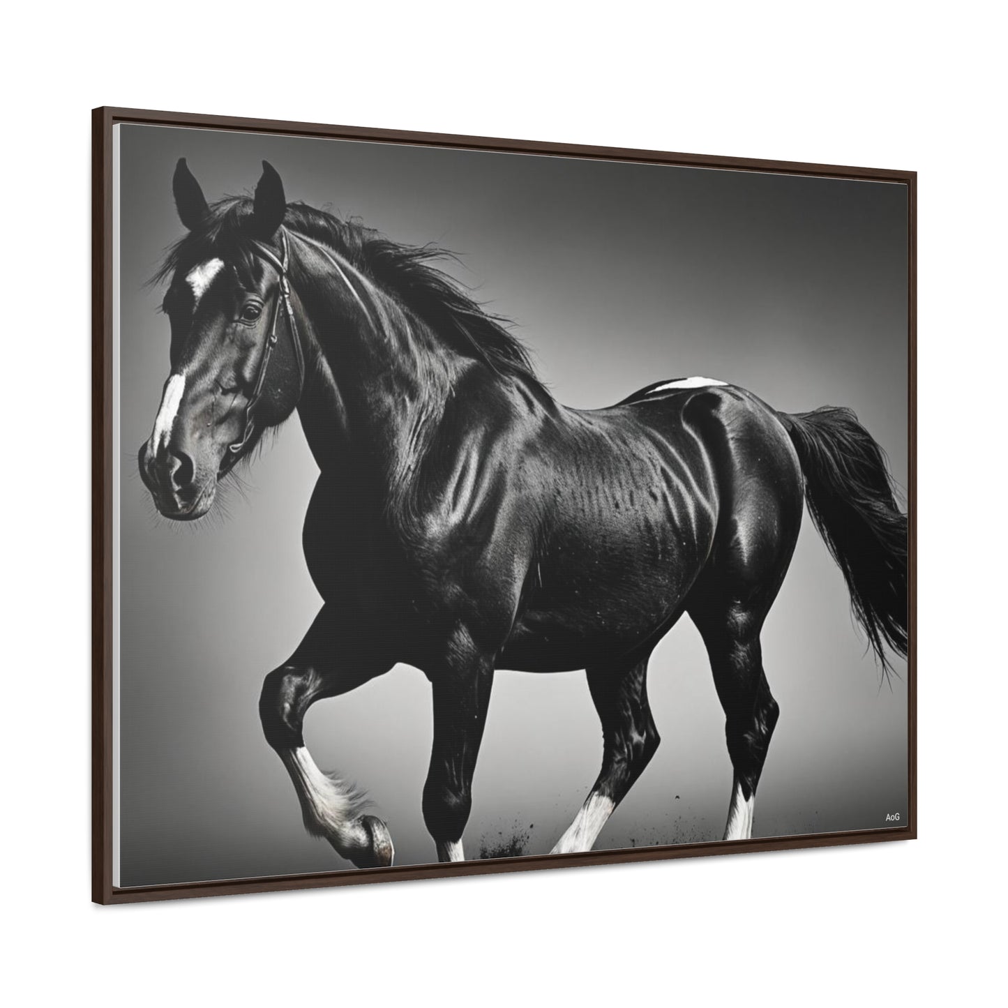 Black Stallion Gallery Canvas Wraps, Horizontal Frame