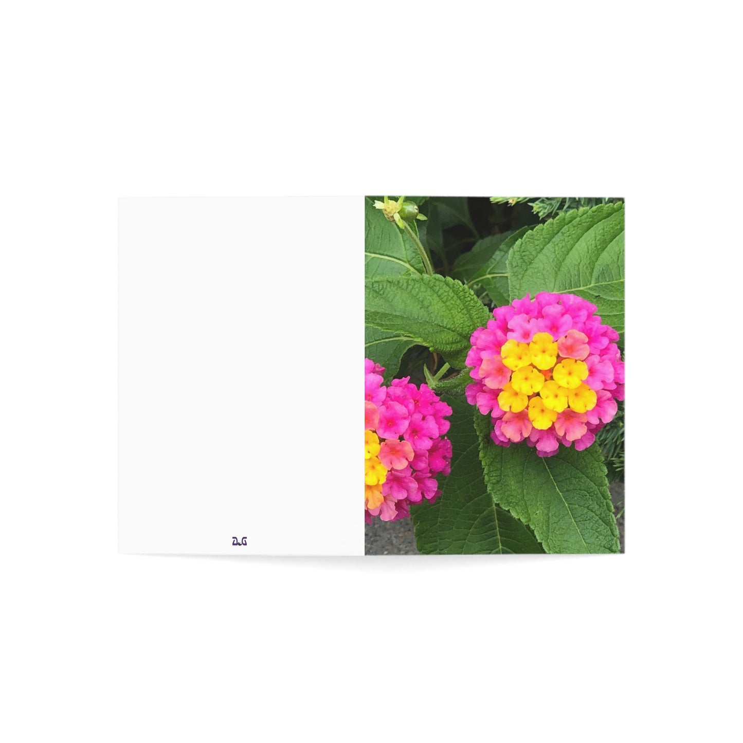 Vertical Spring Bloom Greeting Cards (1, 10, 30, and 50pcs)
