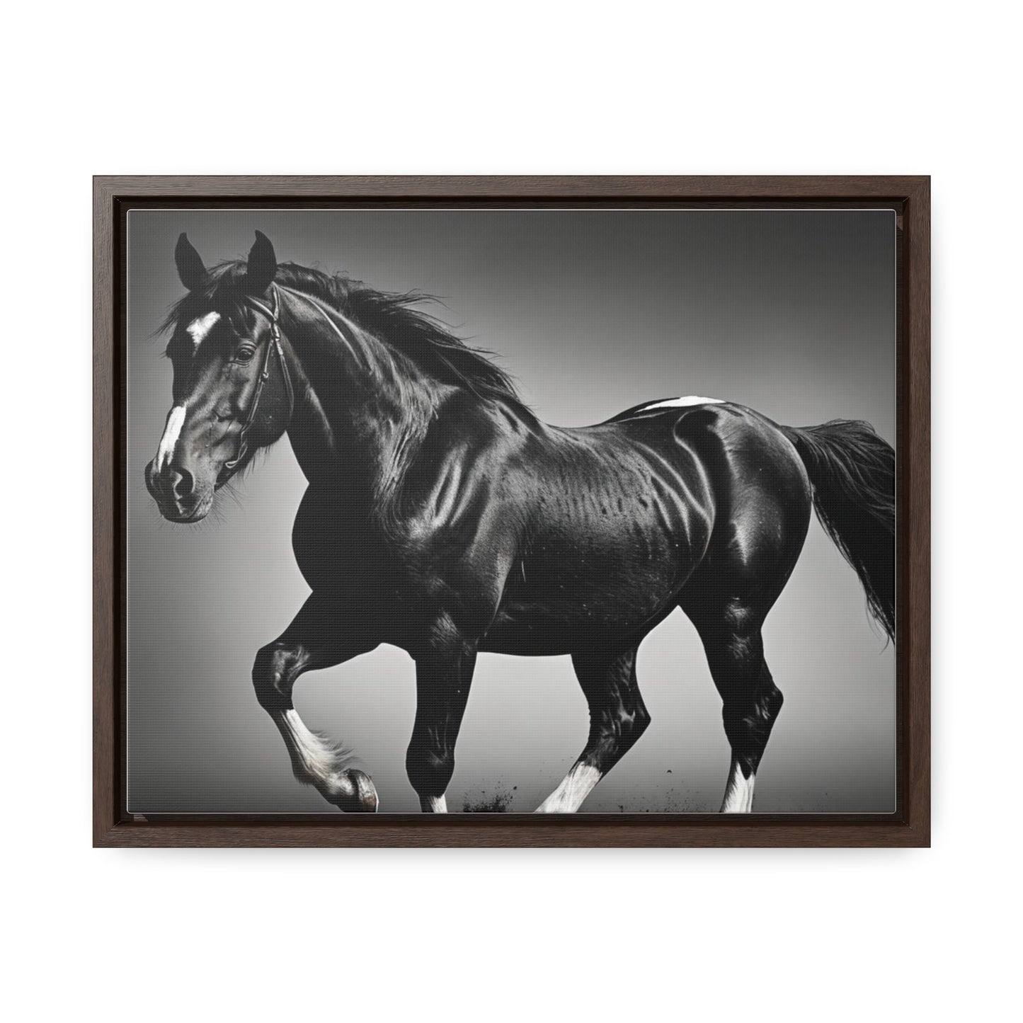 Black Stallion Gallery Canvas Wraps, Horizontal Frame