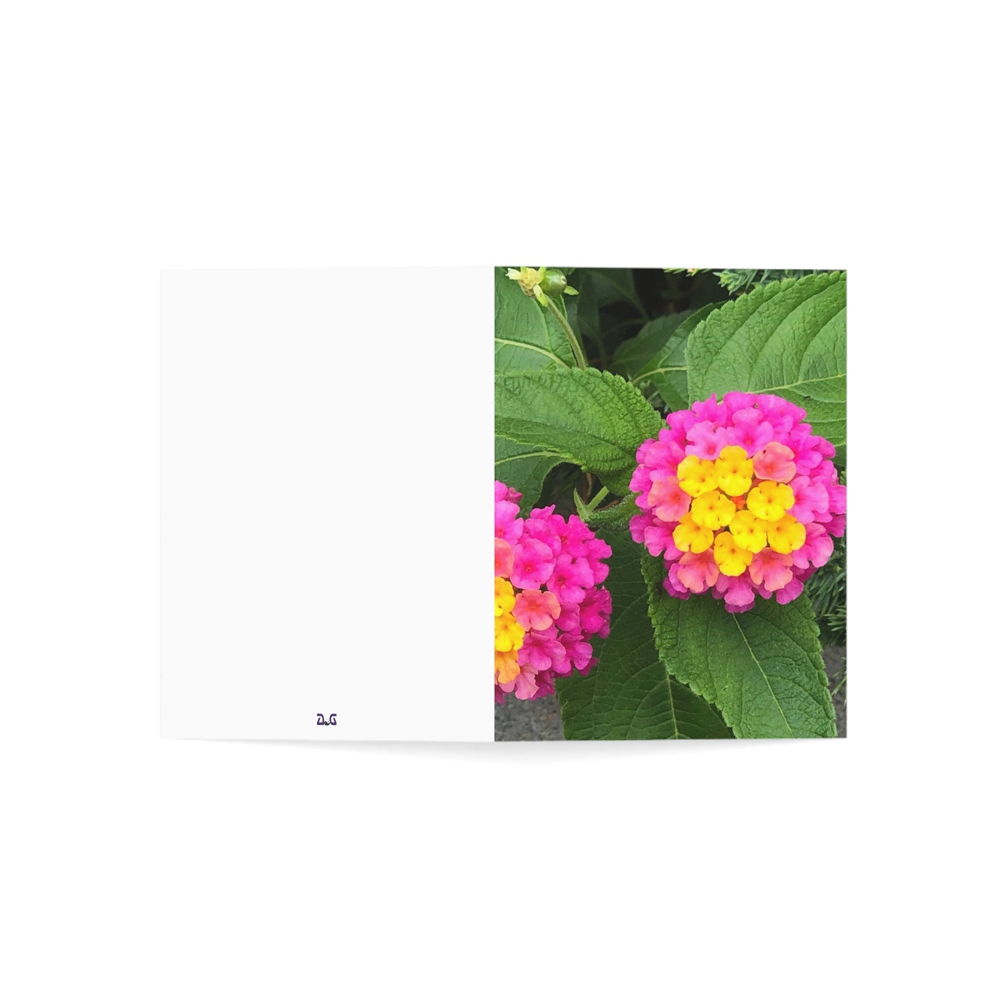 Vertical Spring Bloom Greeting Cards (1, 10, 30, and 50pcs)