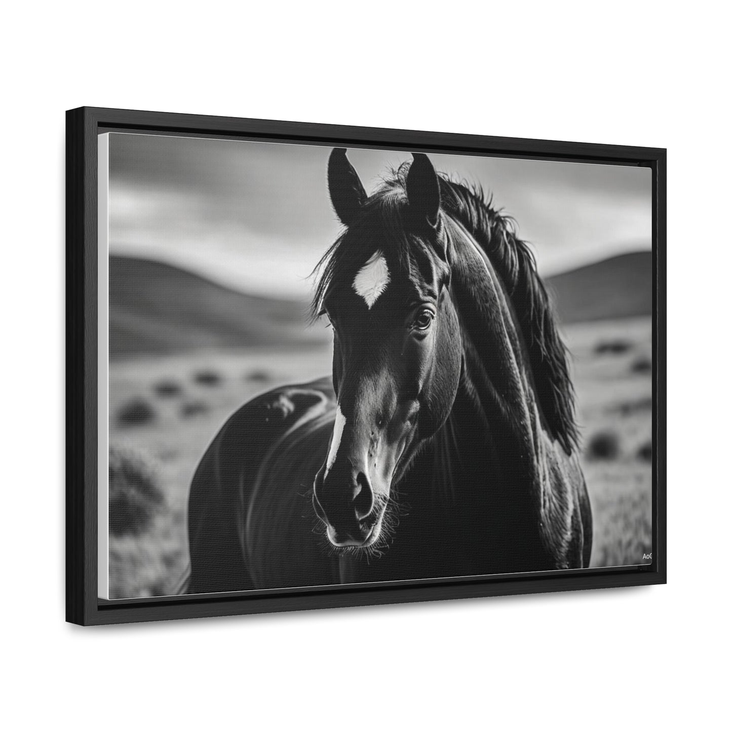 Black Stallion Gallery Canvas Wraps, Horizontal Frame