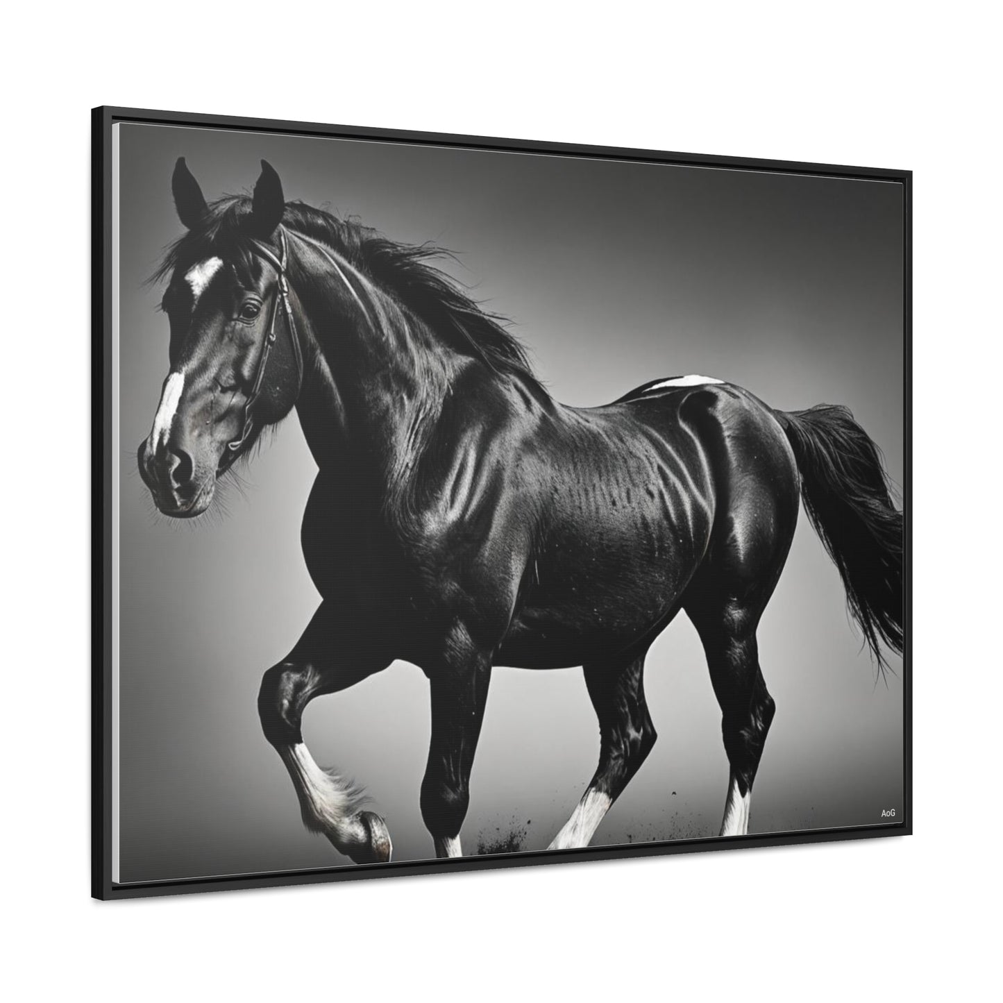 Black Stallion Gallery Canvas Wraps, Horizontal Frame