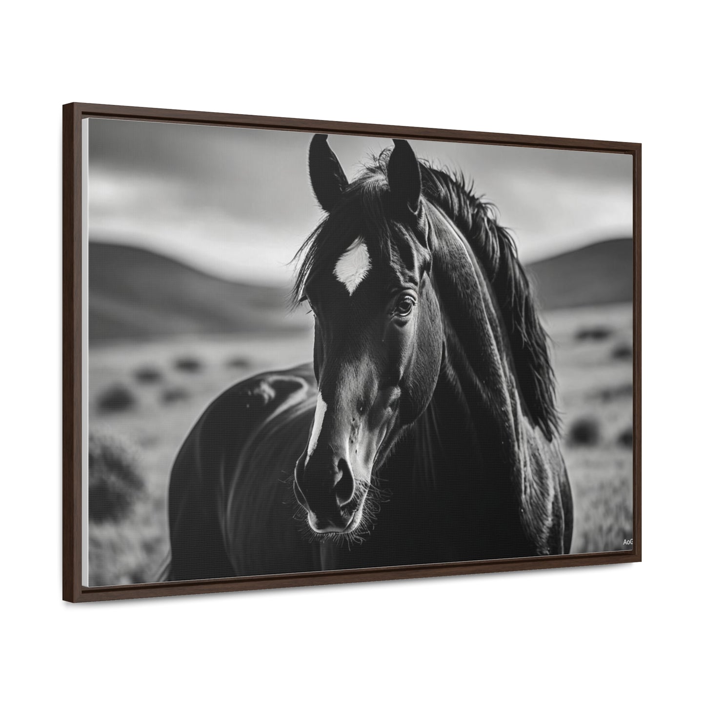 Black Stallion Gallery Canvas Wraps, Horizontal Frame