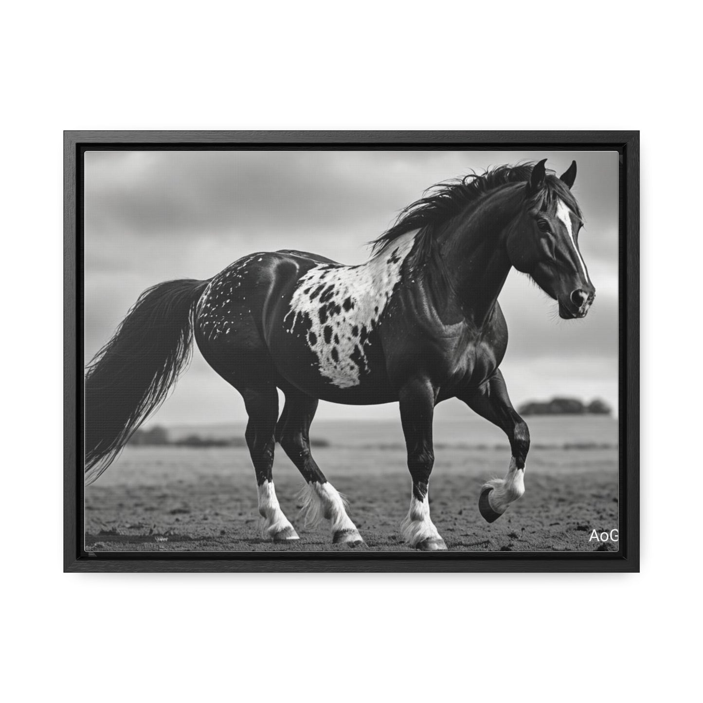 Speckled Stallion Gallery Canvas Wraps, Horizontal Frame