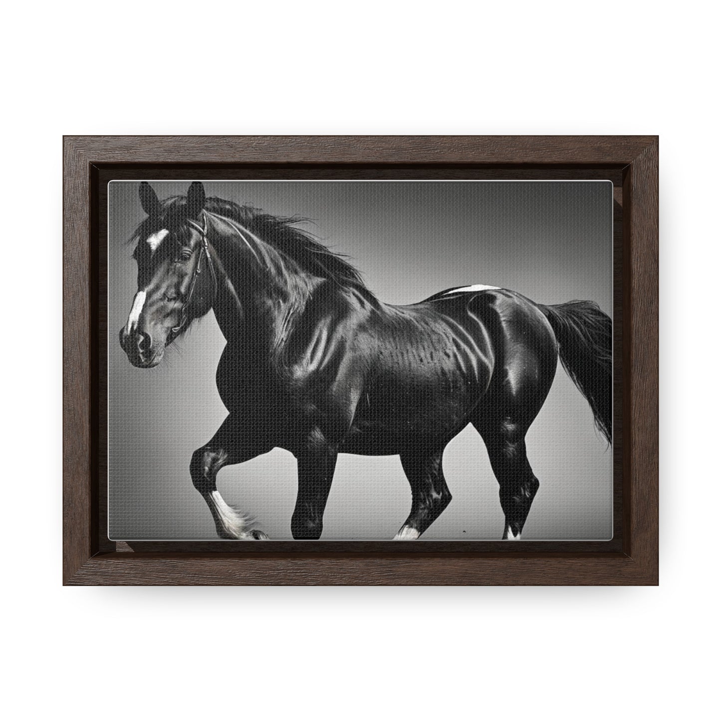 Black Stallion Gallery Canvas Wraps, Horizontal Frame