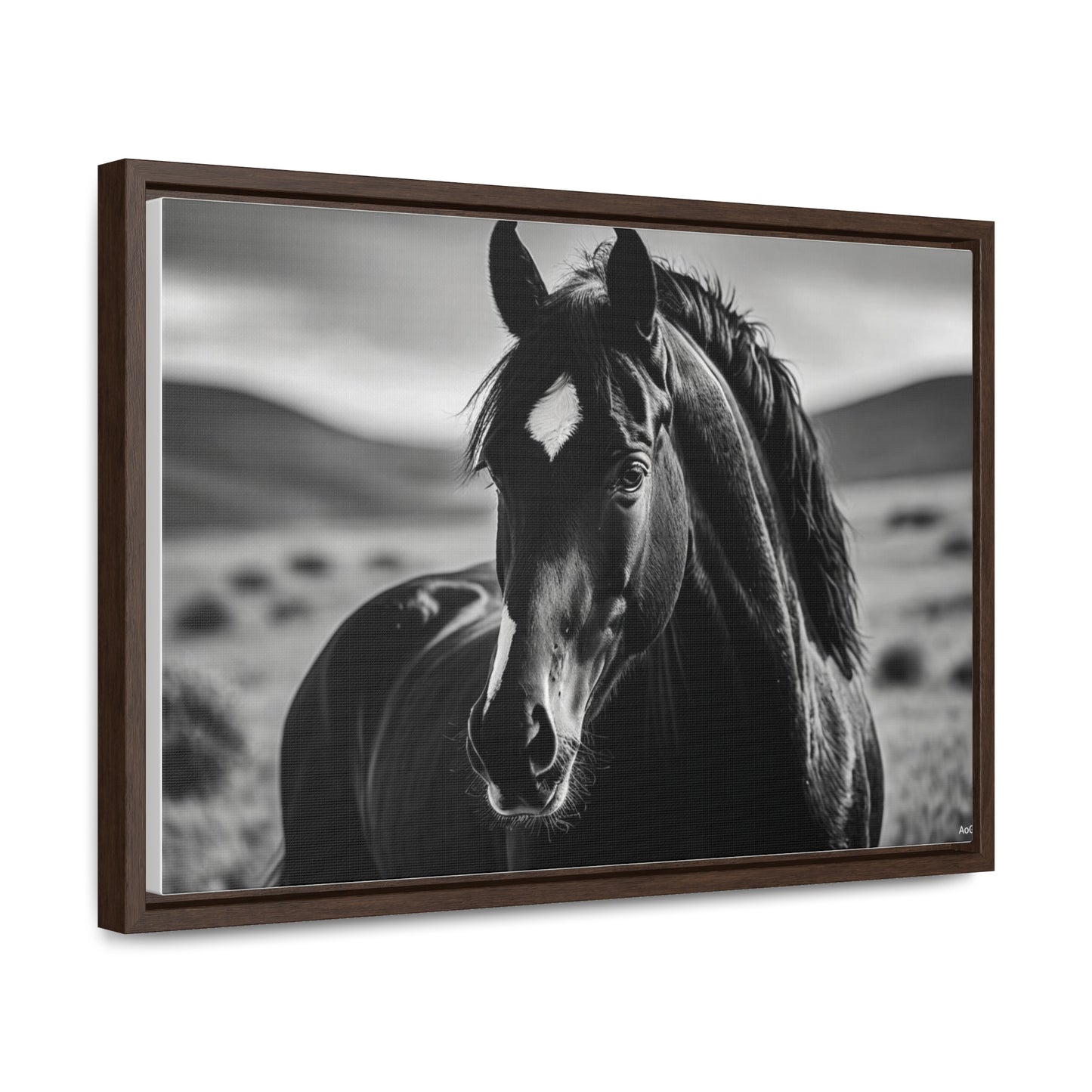 Black Stallion Gallery Canvas Wraps, Horizontal Frame