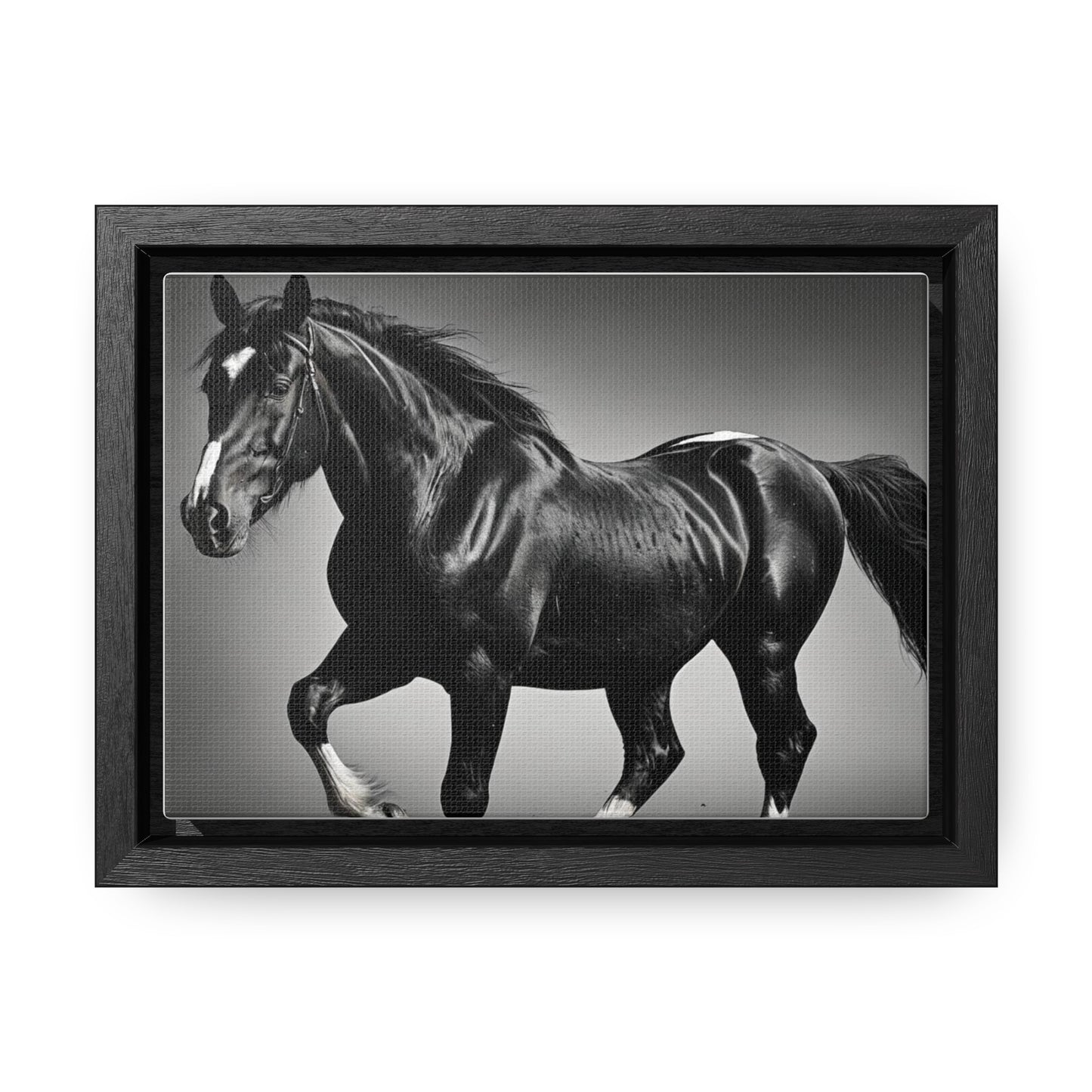 Black Stallion Gallery Canvas Wraps, Horizontal Frame