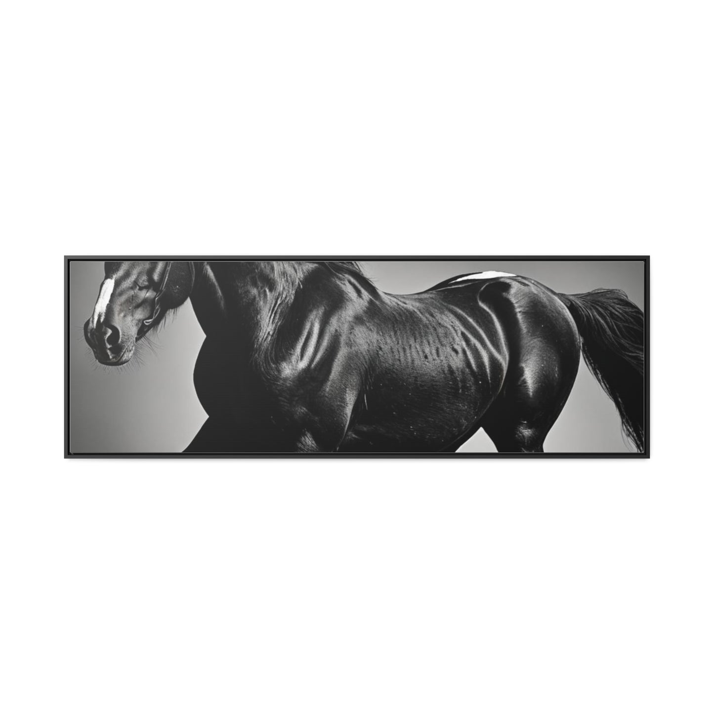 Black Stallion Gallery Canvas Wraps, Horizontal Frame