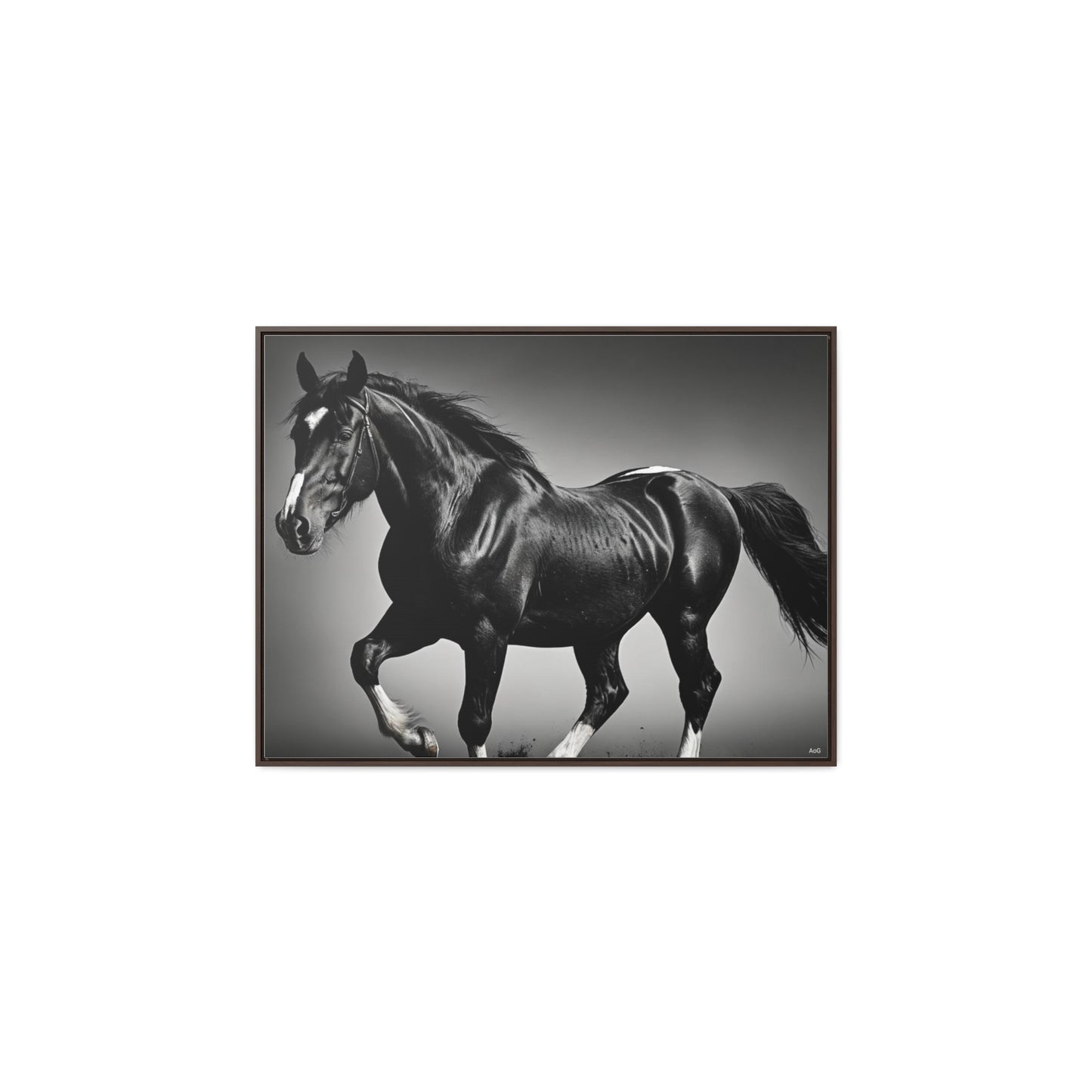 Black Stallion Gallery Canvas Wraps, Horizontal Frame