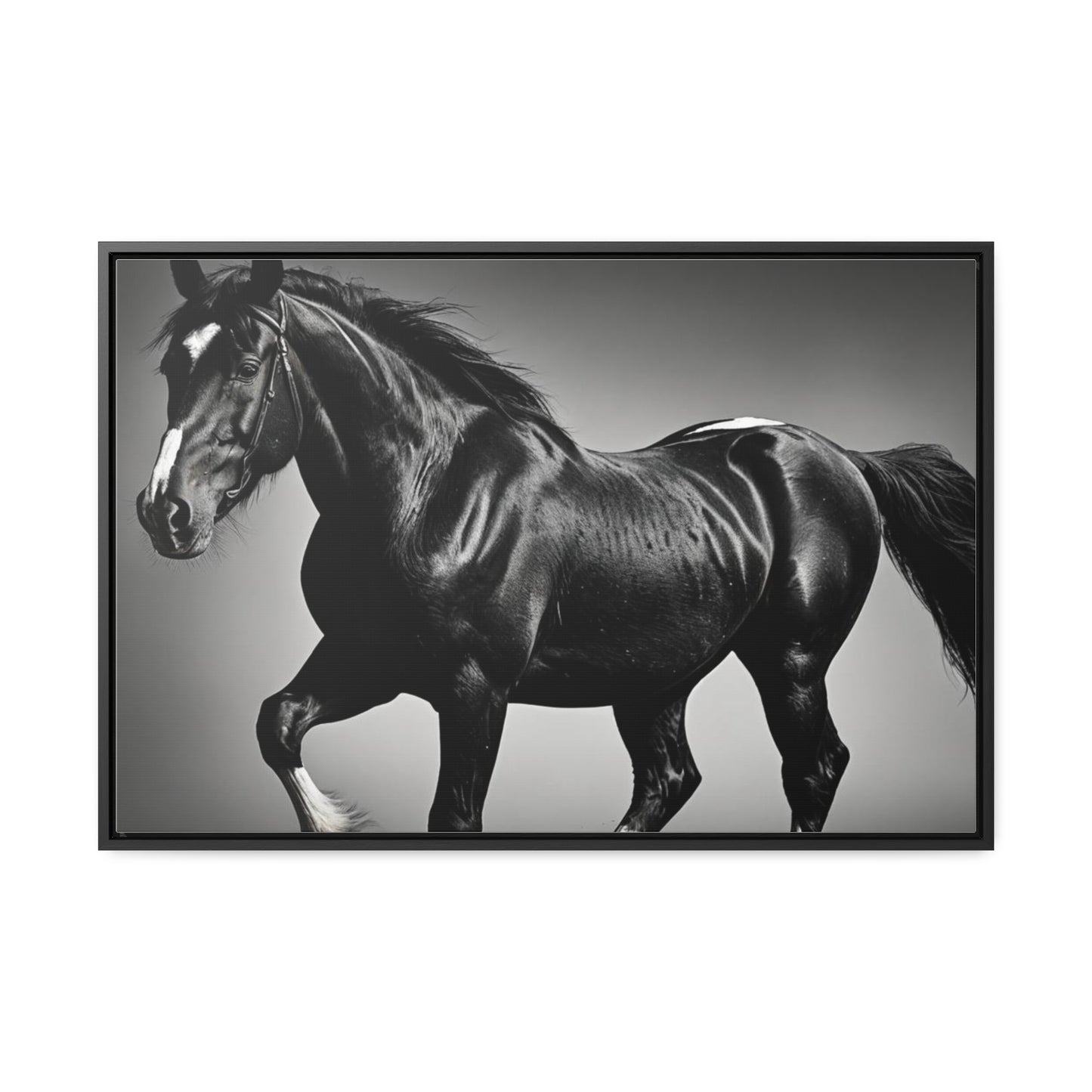 Black Stallion Gallery Canvas Wraps, Horizontal Frame