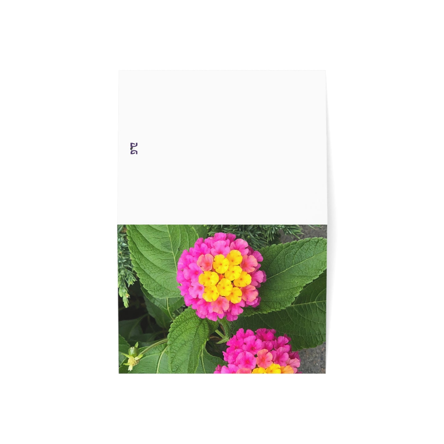 Horizontal Spring Bloom Greeting Cards (1, 10, 30, and 50pcs)