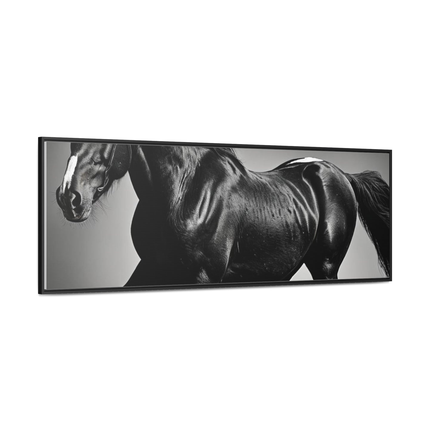 Black Stallion Gallery Canvas Wraps, Horizontal Frame