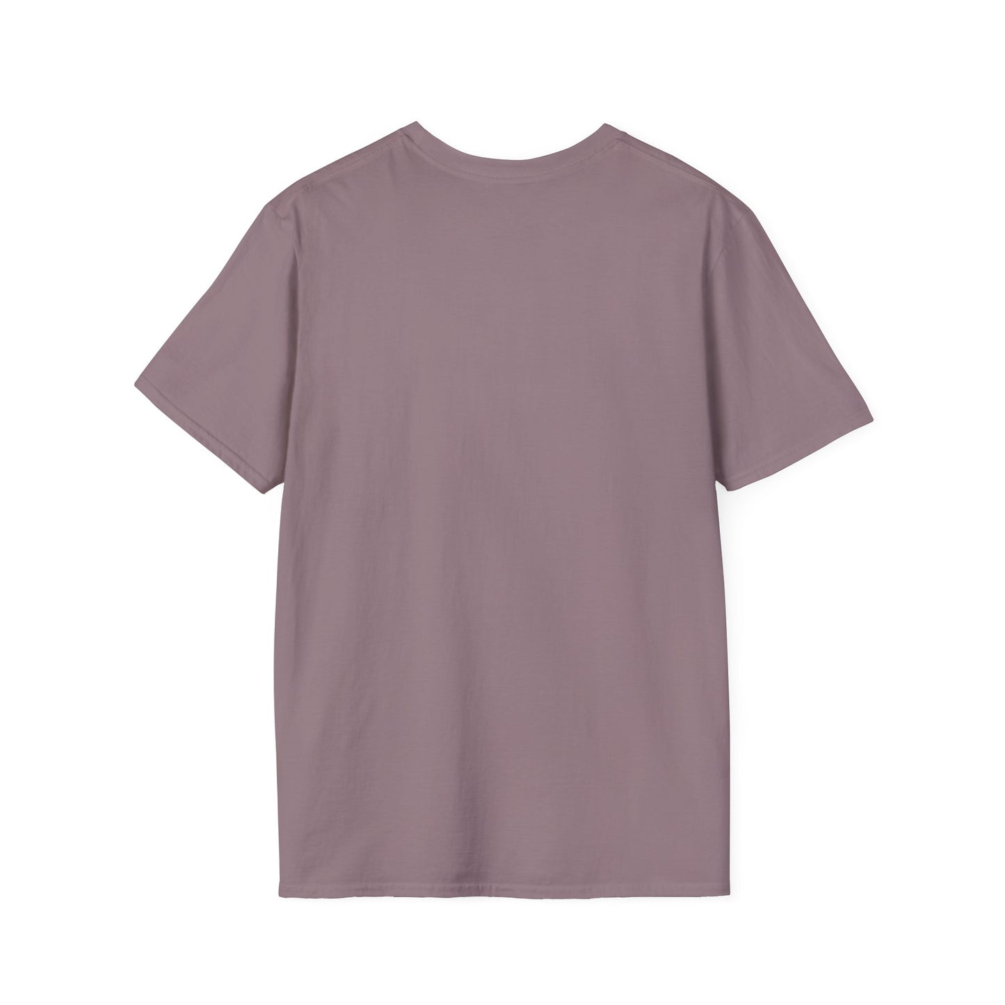 2CS - Unisex Softstyle T-Shirt
