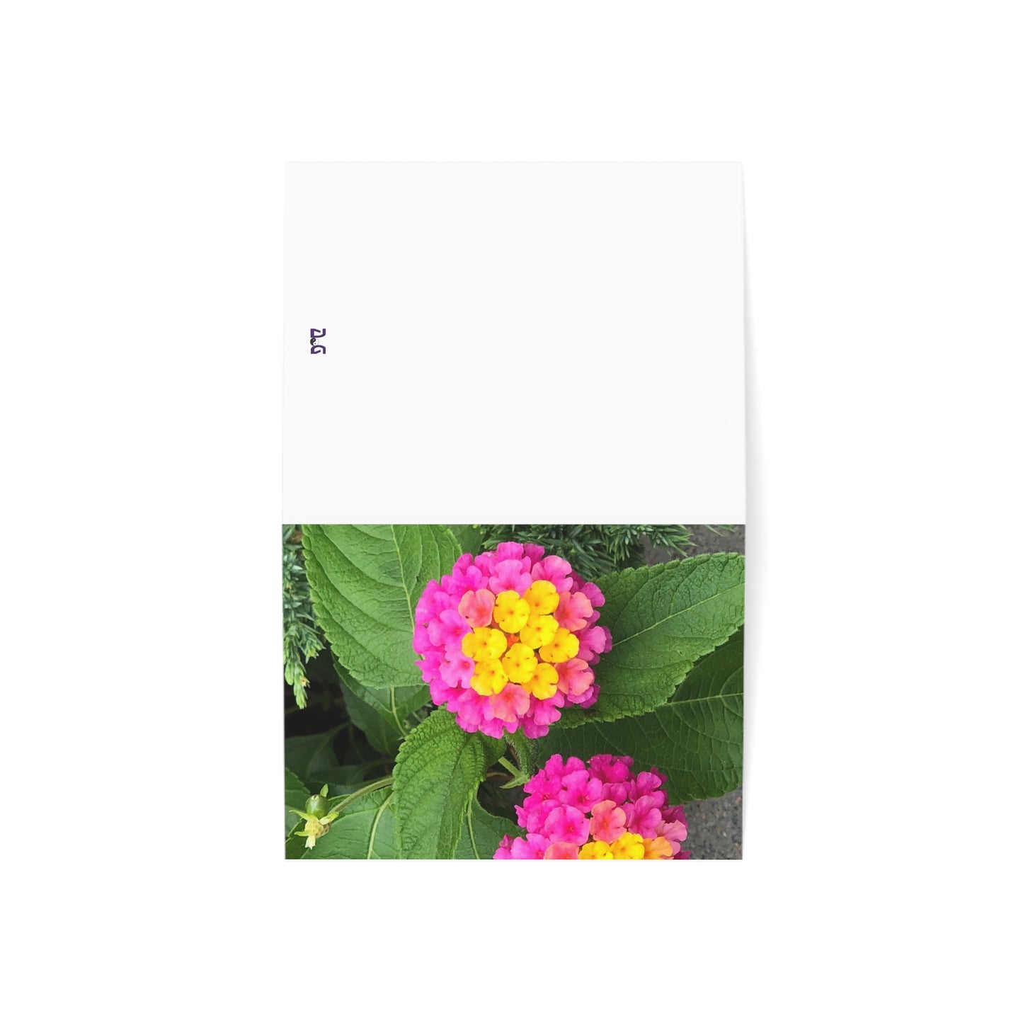 Horizontal Spring Bloom Greeting Cards (1, 10, 30, and 50pcs)