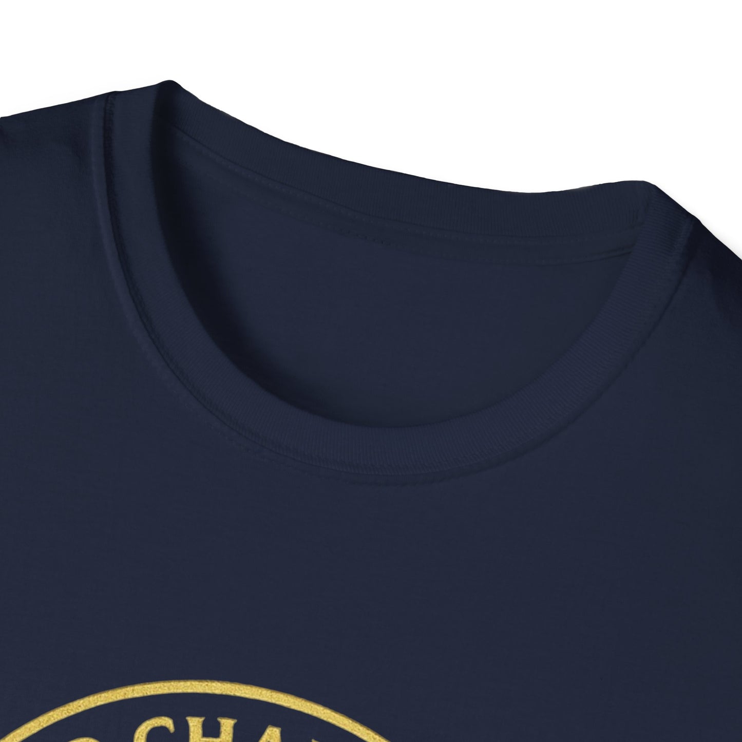 2CS - Unisex Softstyle T-Shirt