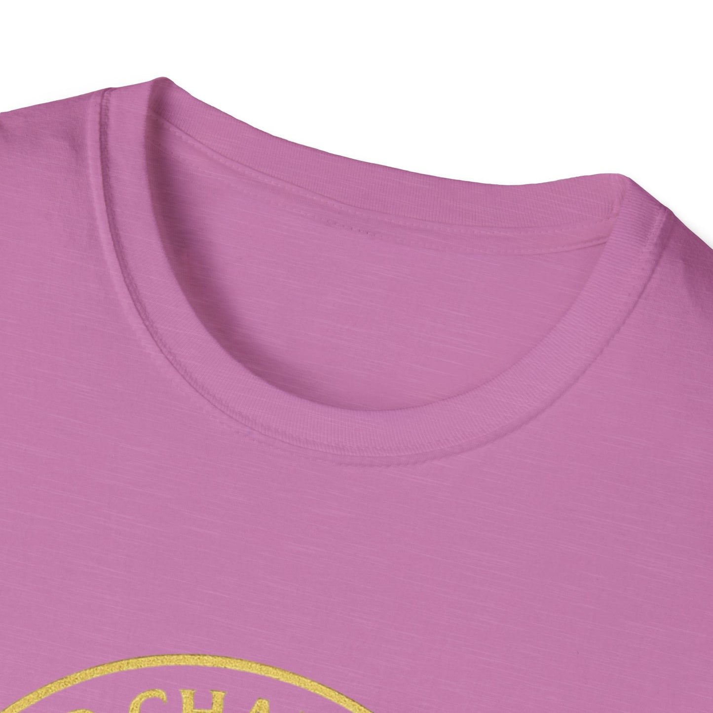 2CS - Unisex Softstyle T-Shirt