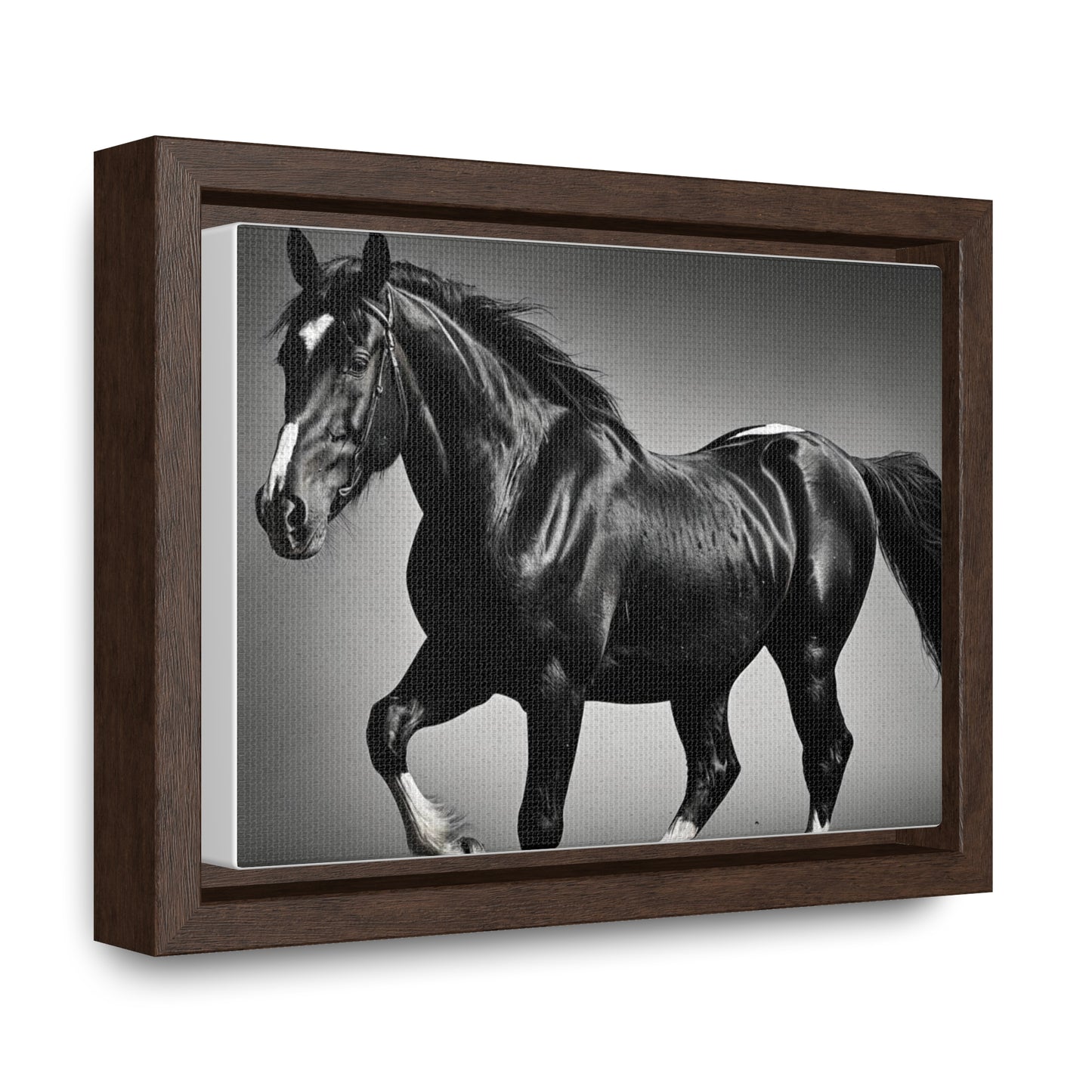 Black Stallion Gallery Canvas Wraps, Horizontal Frame