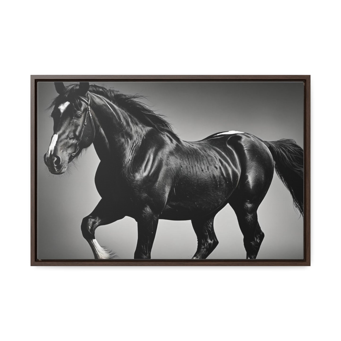 Black Stallion Gallery Canvas Wraps, Horizontal Frame