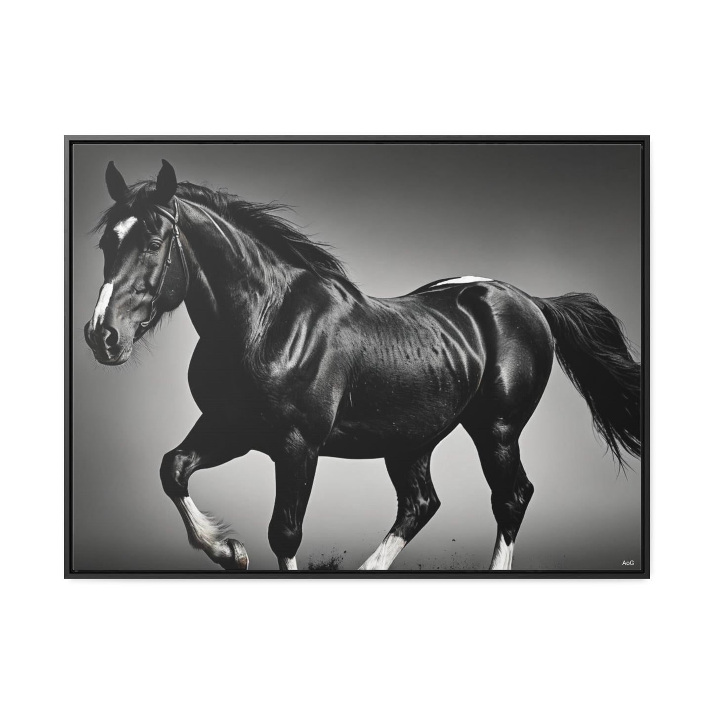 Black Stallion Gallery Canvas Wraps, Horizontal Frame