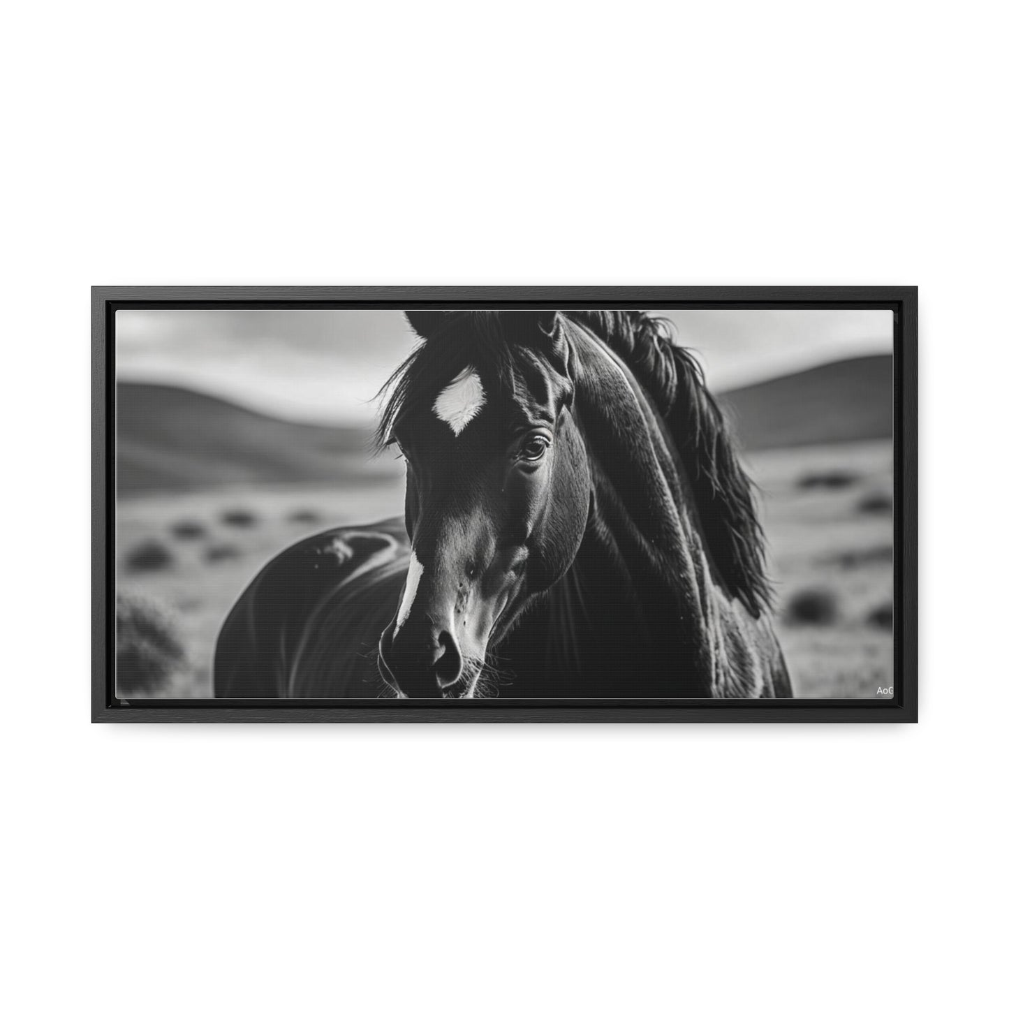 Black Stallion Gallery Canvas Wraps, Horizontal Frame