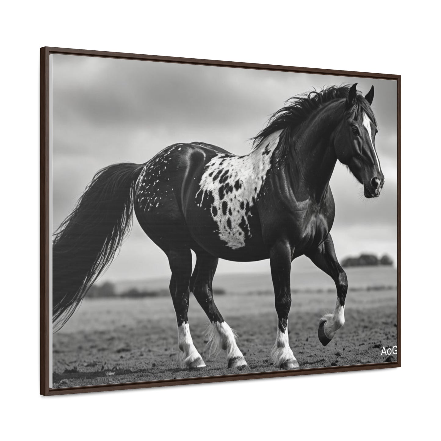 Speckled Stallion Gallery Canvas Wraps, Horizontal Frame