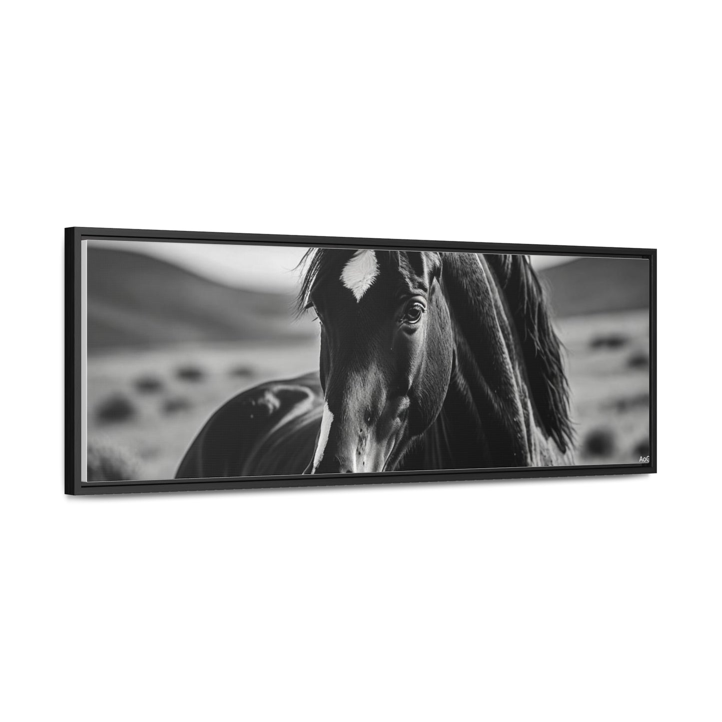 Black Stallion Gallery Canvas Wraps, Horizontal Frame