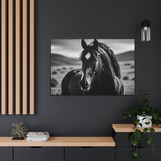 Black Stallion Gallery Canvas Wraps, Horizontal Frame