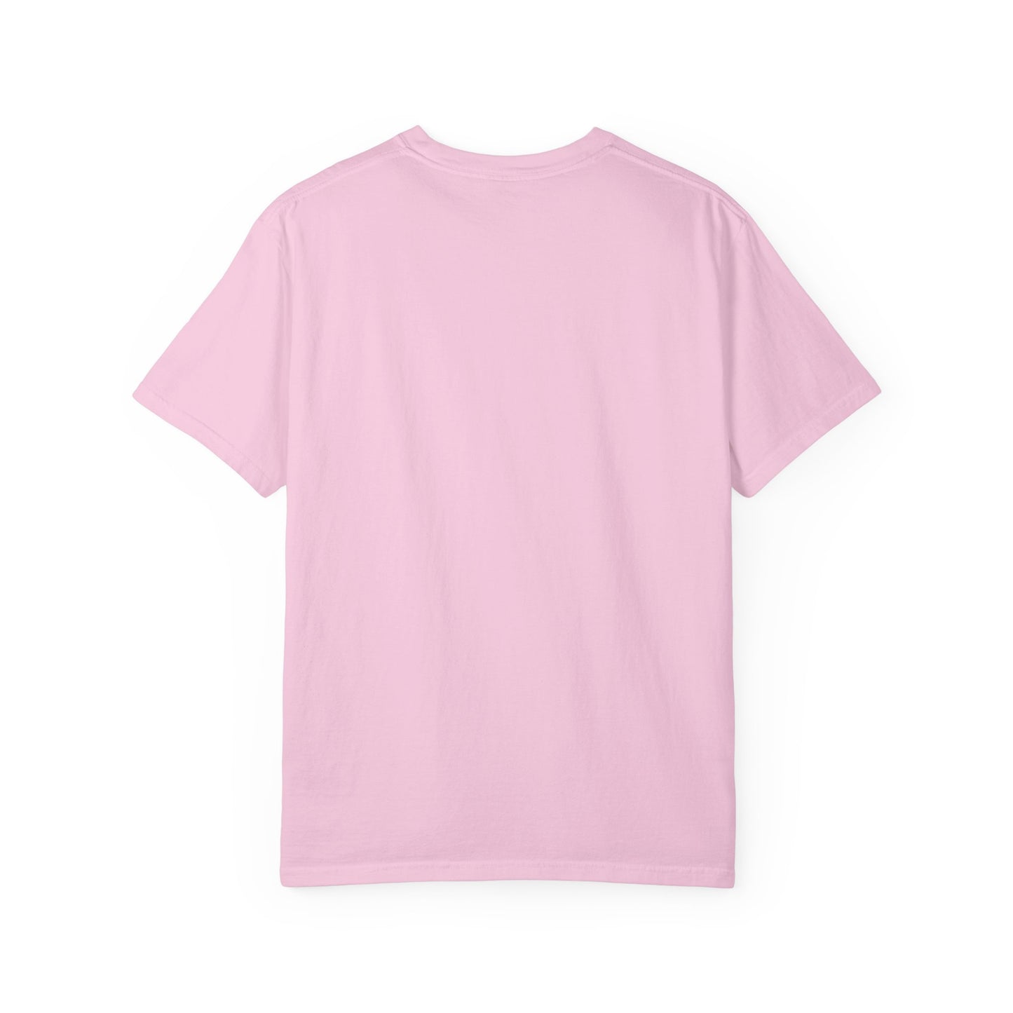 SCSGF - FUND RAISER Unisex Garment-Dyed T-shirt