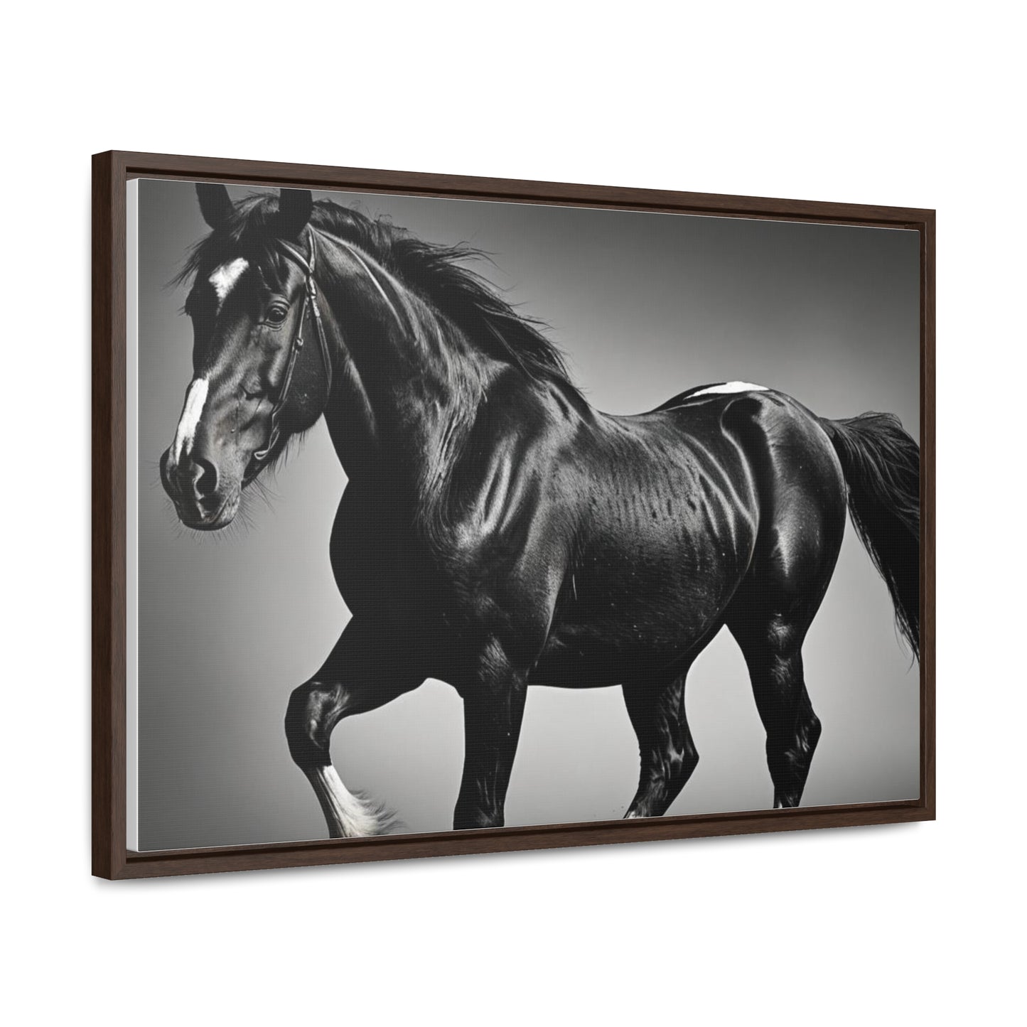 Black Stallion Gallery Canvas Wraps, Horizontal Frame