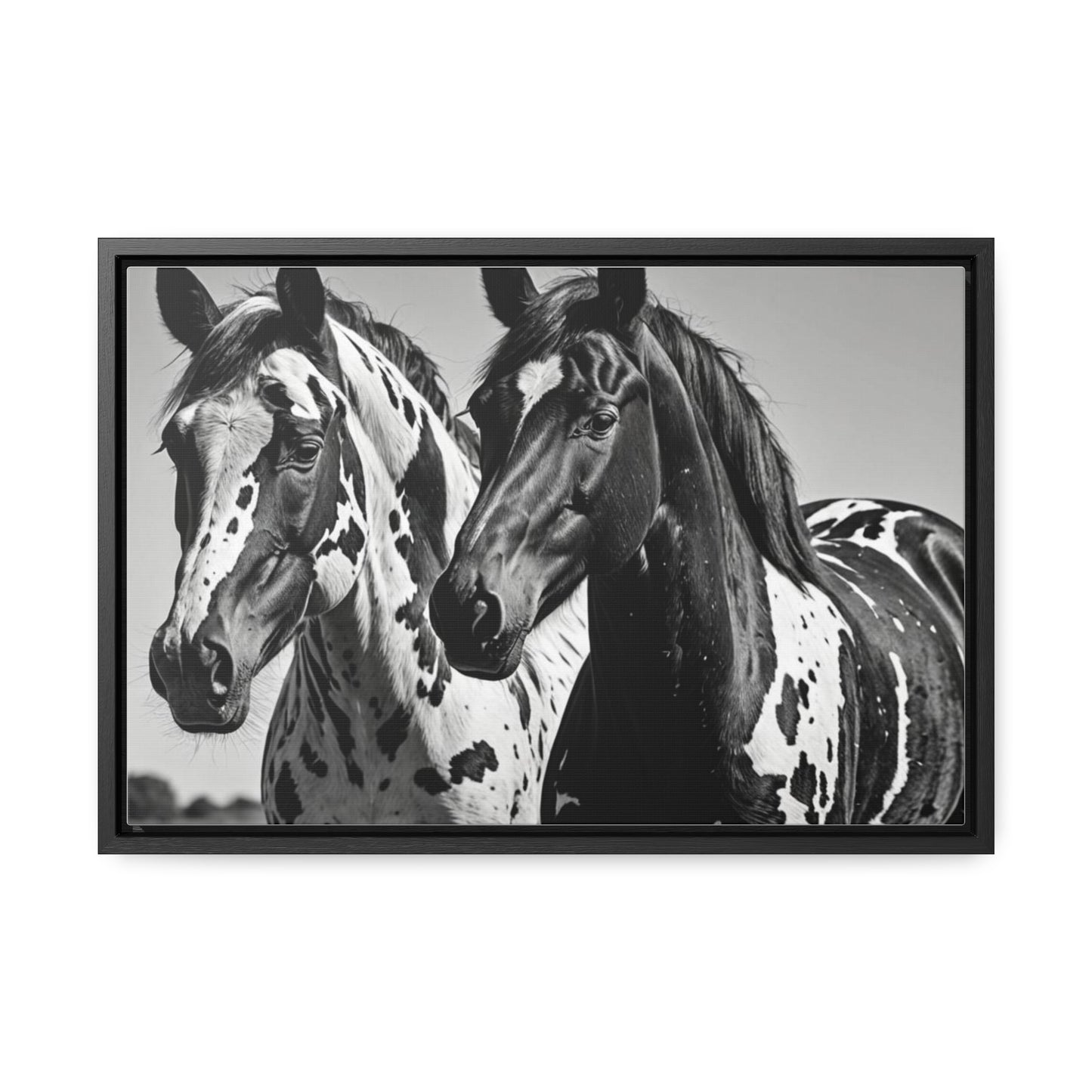 Speckled Stallions Gallery Canvas Wraps, Horizontal Frame