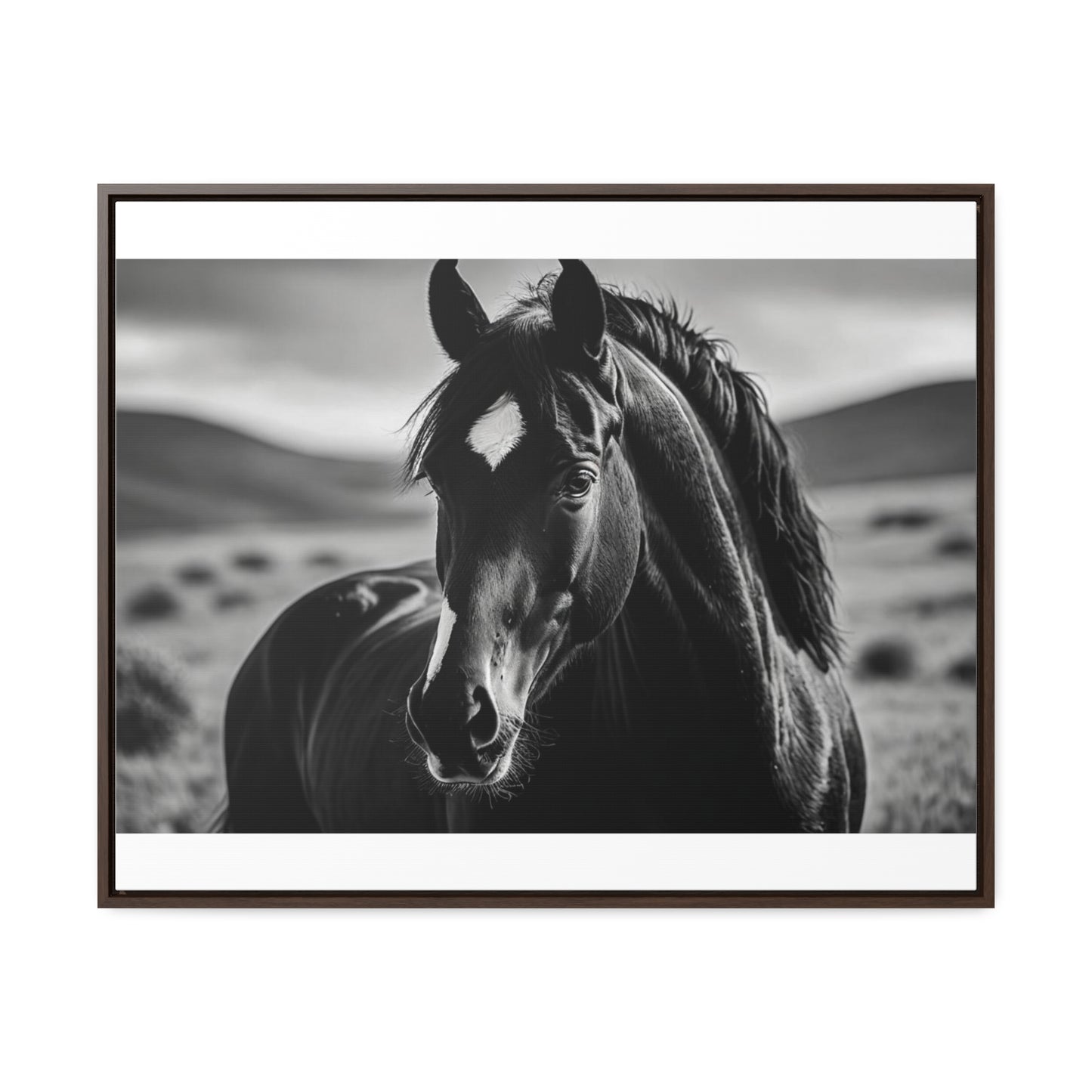 Black Stallion Gallery Canvas Wraps, Horizontal Frame