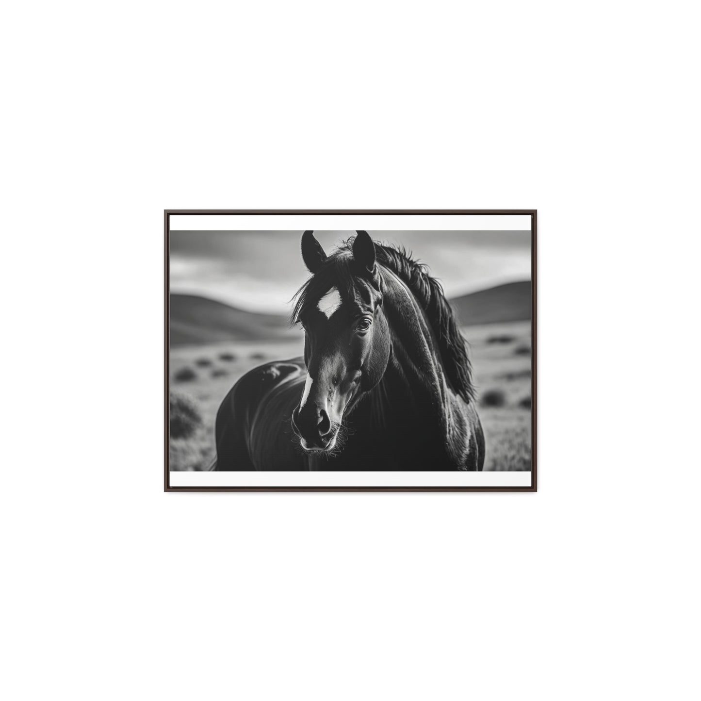 Black Stallion Gallery Canvas Wraps, Horizontal Frame