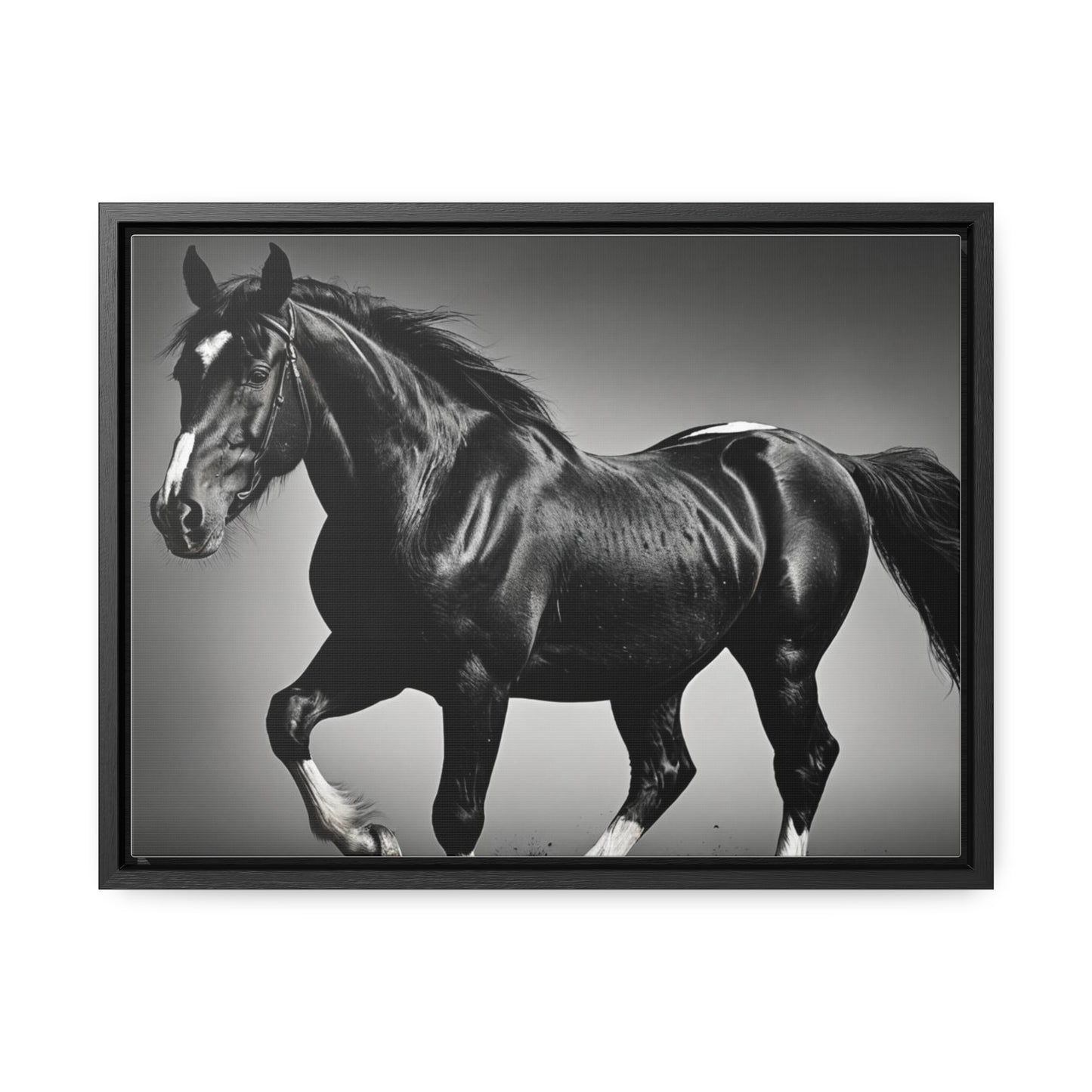 Black Stallion Gallery Canvas Wraps, Horizontal Frame