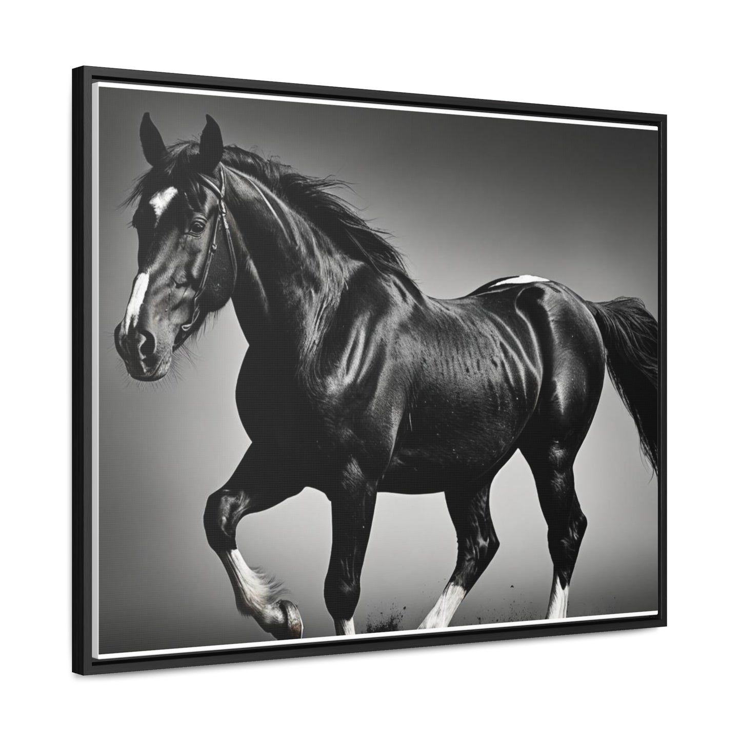 Black Stallion Gallery Canvas Wraps, Horizontal Frame