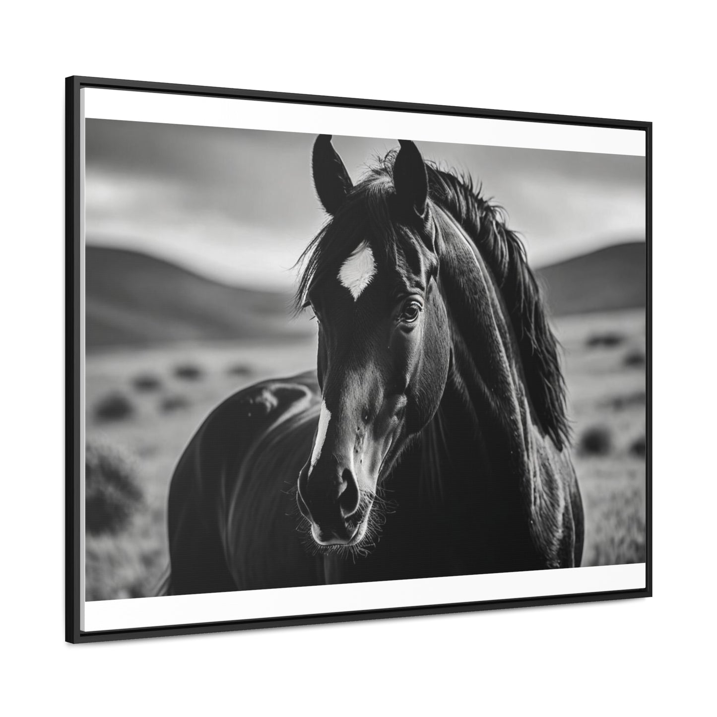 Black Stallion Gallery Canvas Wraps, Horizontal Frame