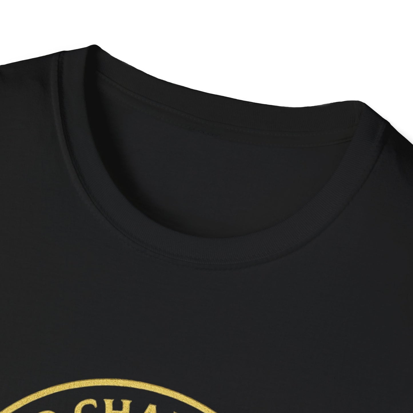 2CS - Unisex Softstyle T-Shirt