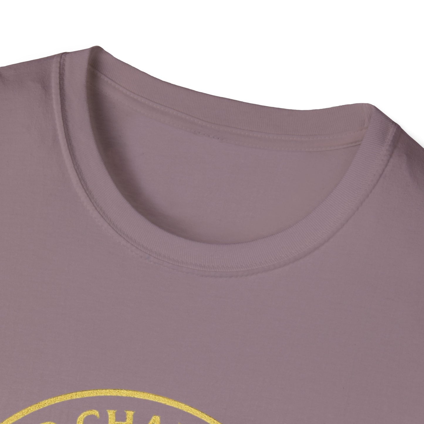 2CS - Unisex Softstyle T-Shirt