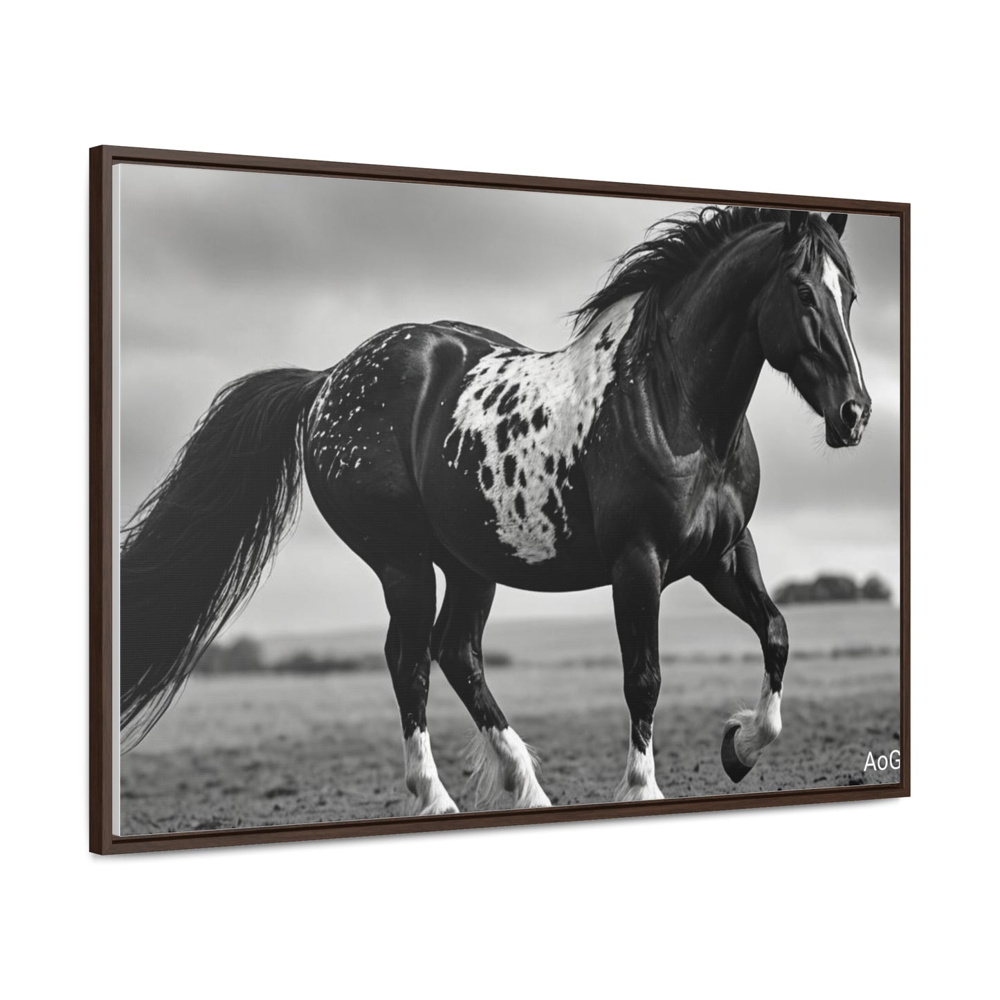 Speckled Stallion Gallery Canvas Wraps, Horizontal Frame