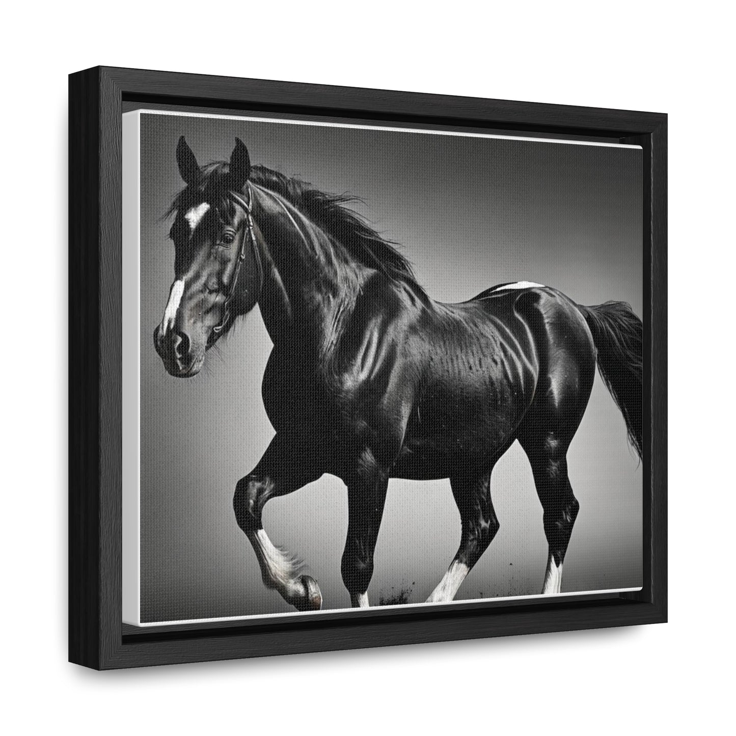 Black Stallion Gallery Canvas Wraps, Horizontal Frame