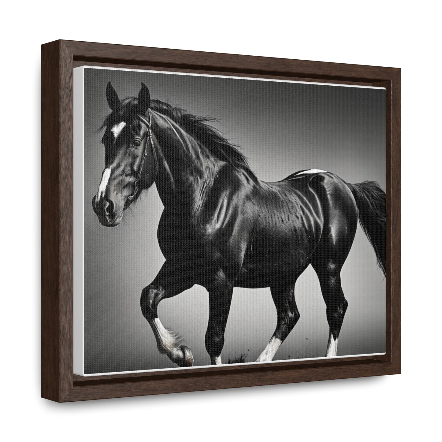 Black Stallion Gallery Canvas Wraps, Horizontal Frame