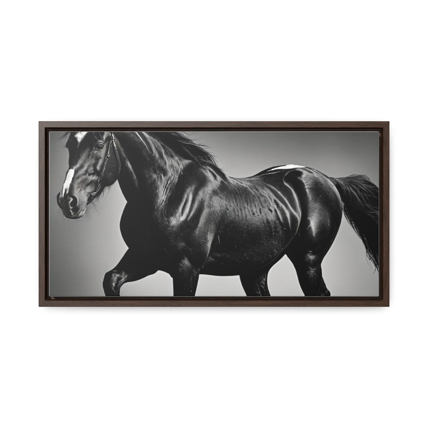 Black Stallion Gallery Canvas Wraps, Horizontal Frame