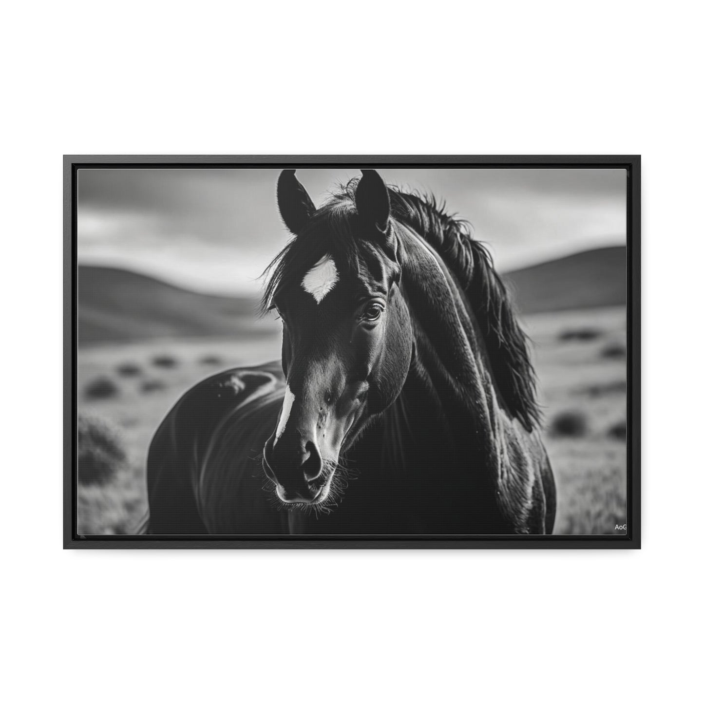 Black Stallion Gallery Canvas Wraps, Horizontal Frame