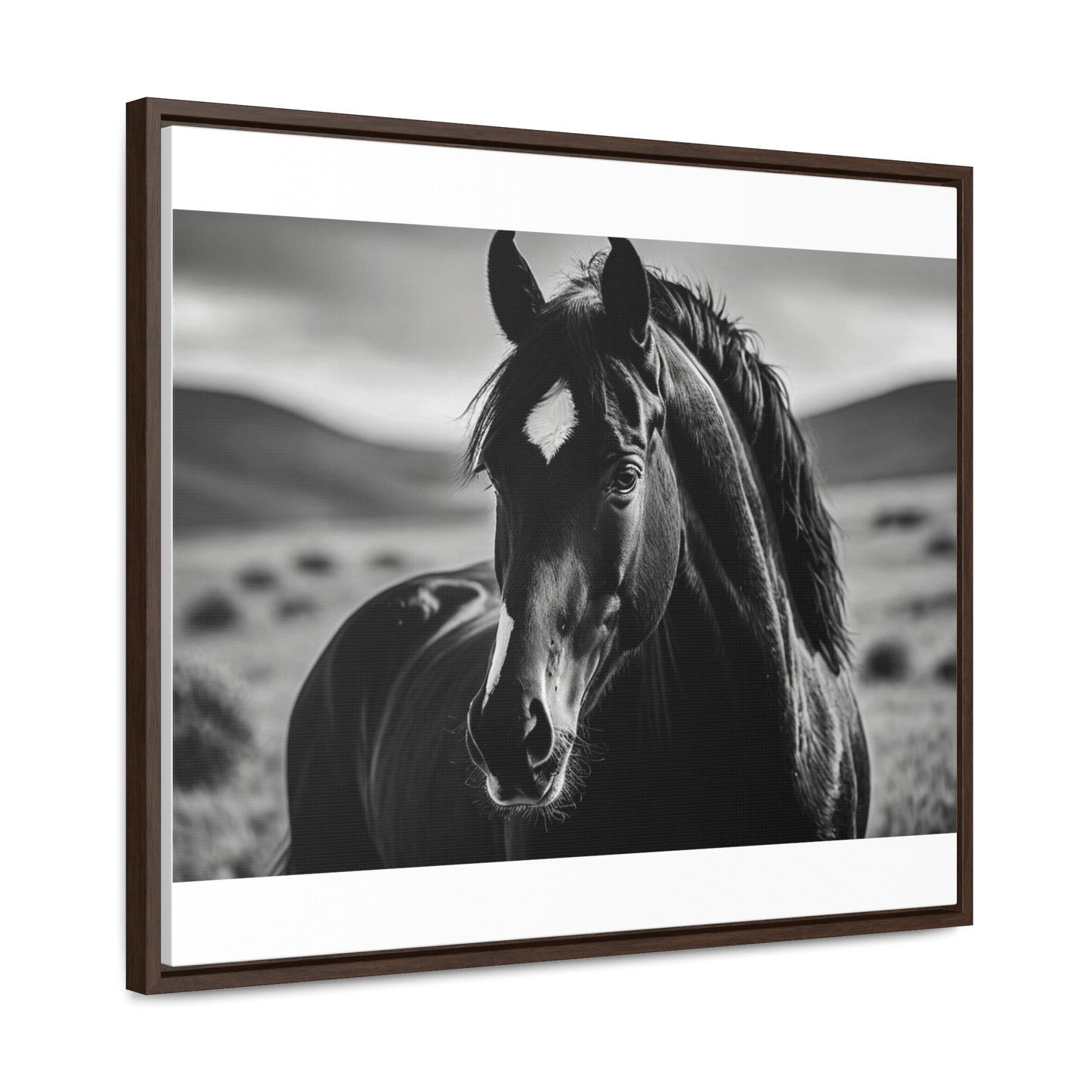 Black Stallion Gallery Canvas Wraps, Horizontal Frame