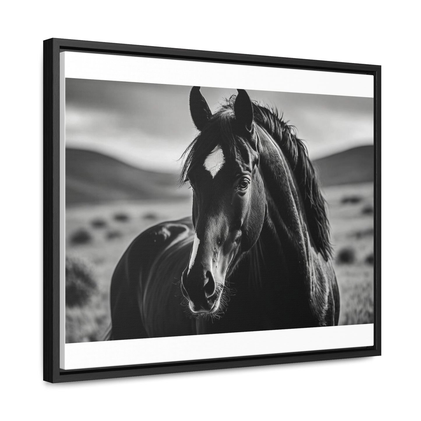 Black Stallion Gallery Canvas Wraps, Horizontal Frame