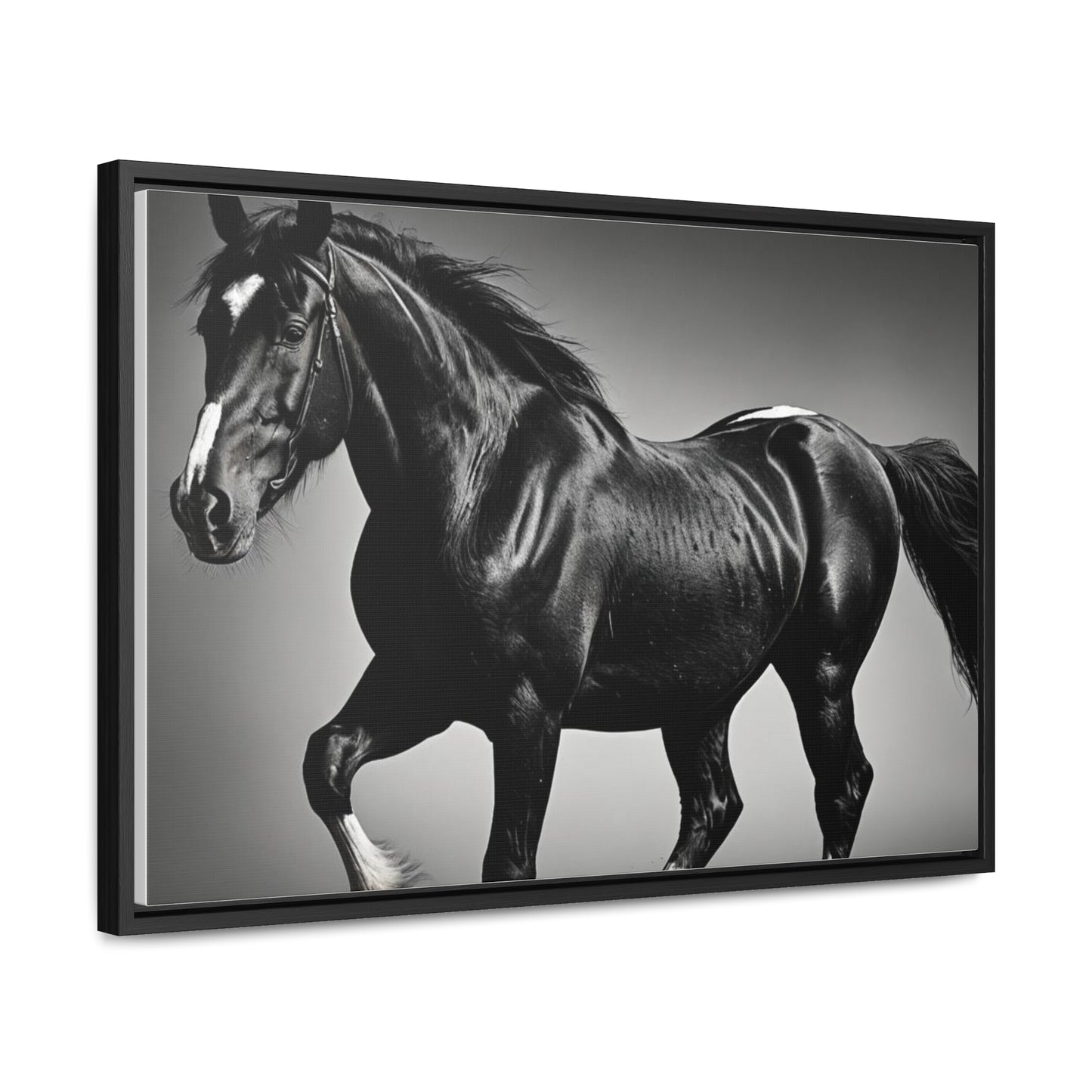 Black Stallion Gallery Canvas Wraps, Horizontal Frame